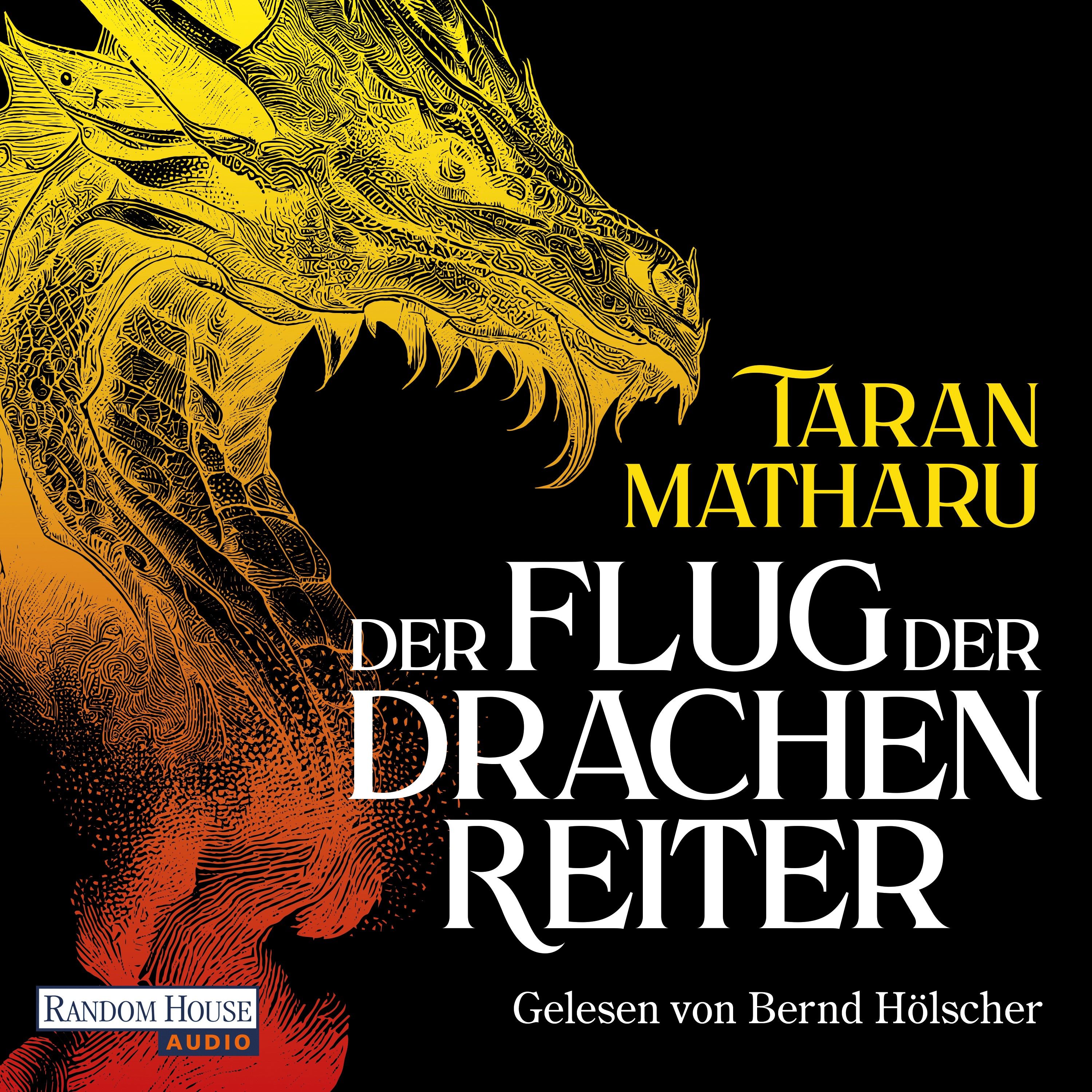 Der Flug der Drachenreiter
