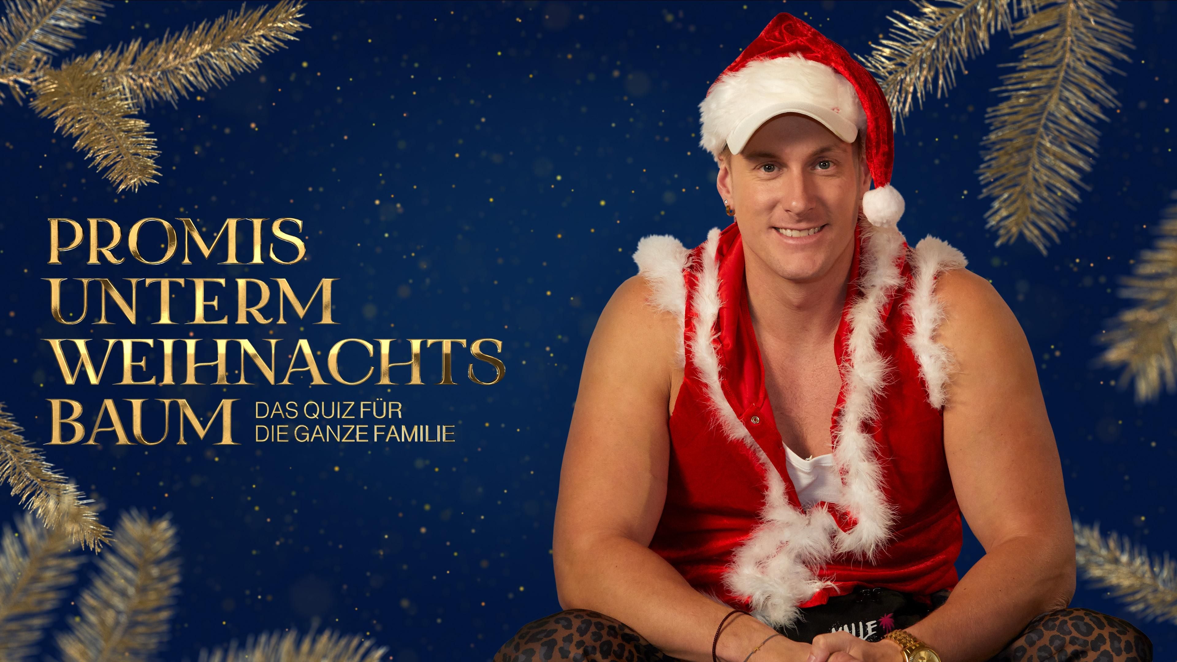 Promis unterm Weihnachtsbaum - Das Quiz für die ganze Familie