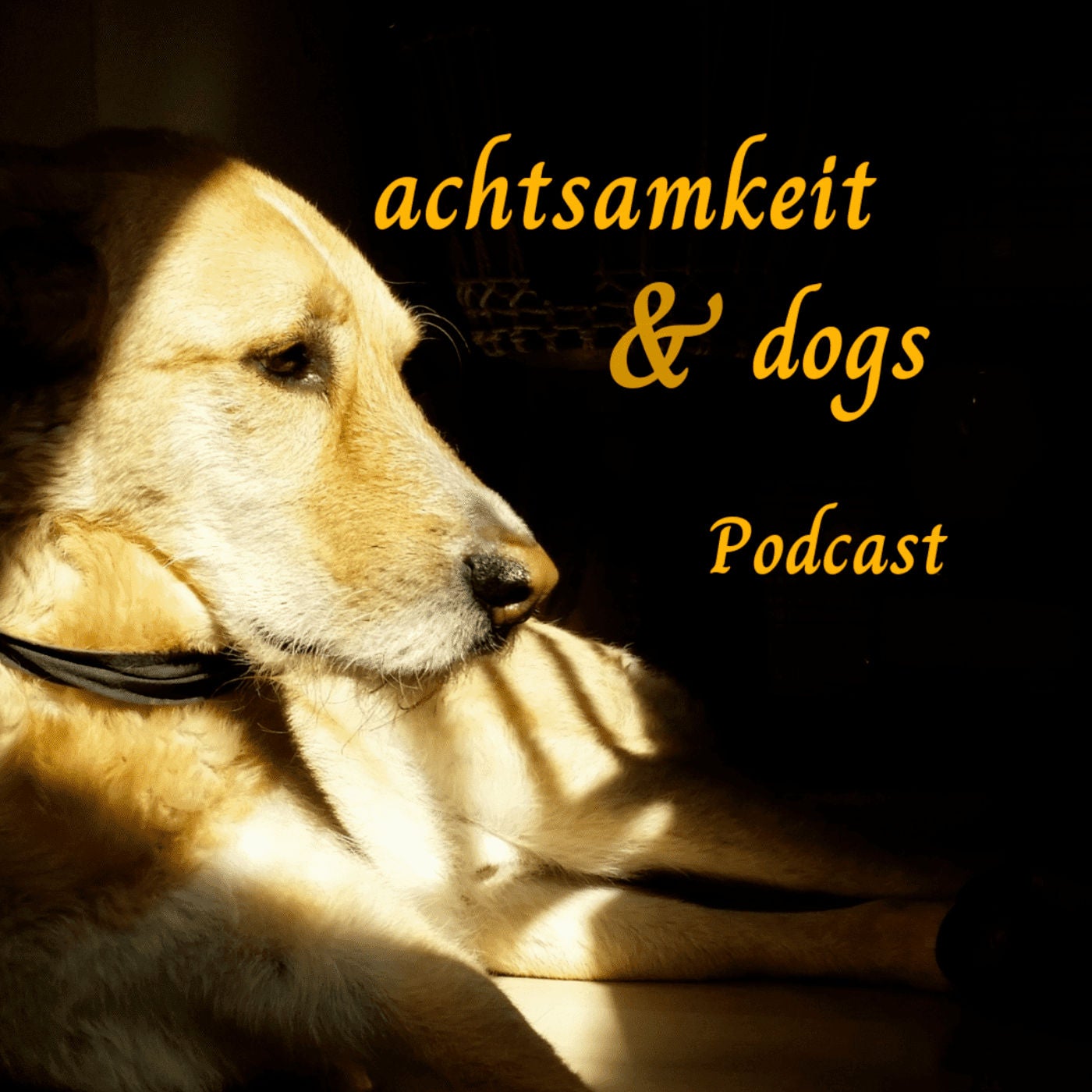 18. Aushalten & Raumhalten