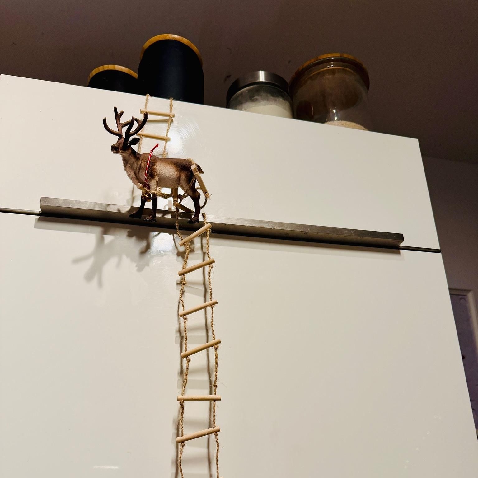 Der kleine Besucher hinter der Mini-Tür