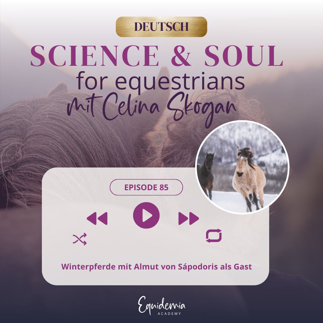 Winterpferde mit Almut von Sápodoris als Gast