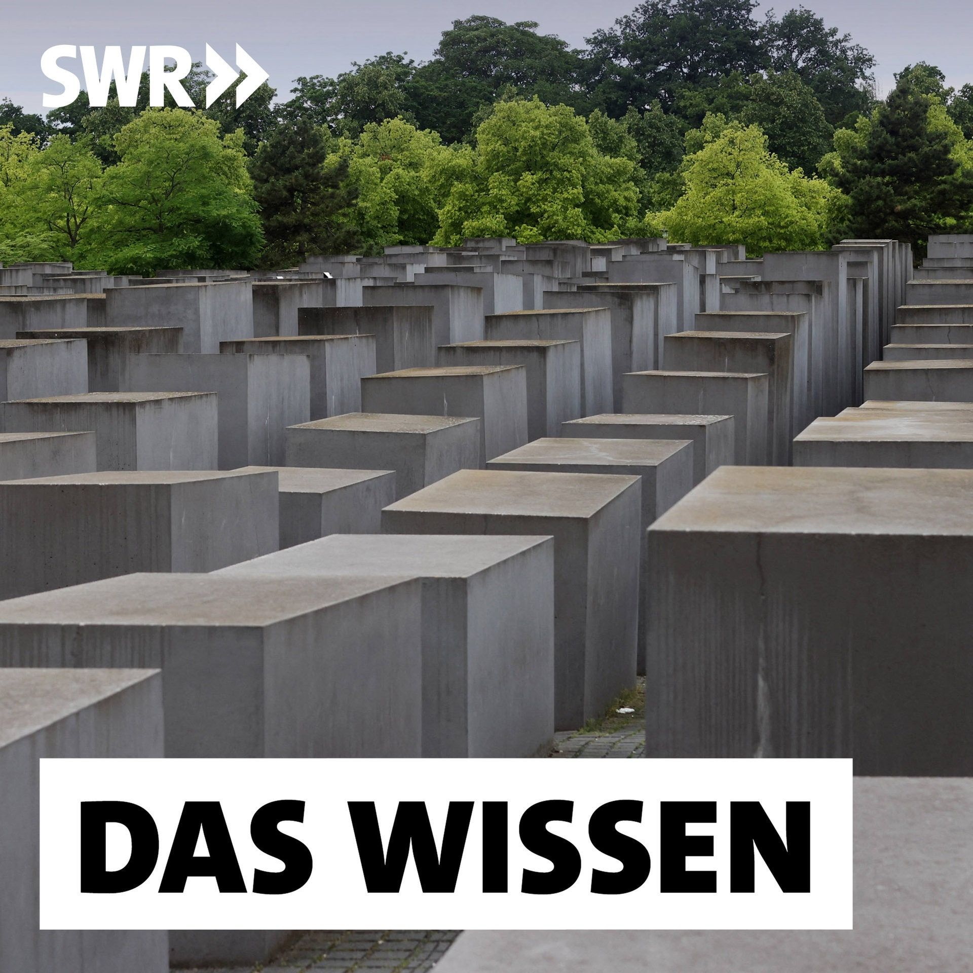 Holocaustvergleiche – Eine historische Einordnung