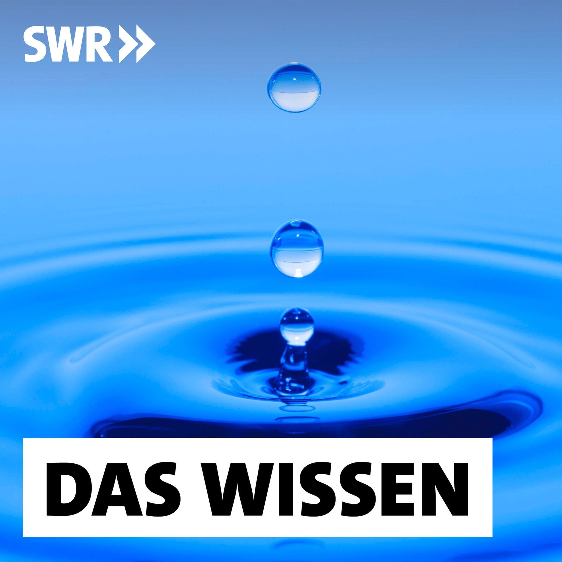 Tropfenforschung – Eine Wissenschaft für alle Lebenslagen