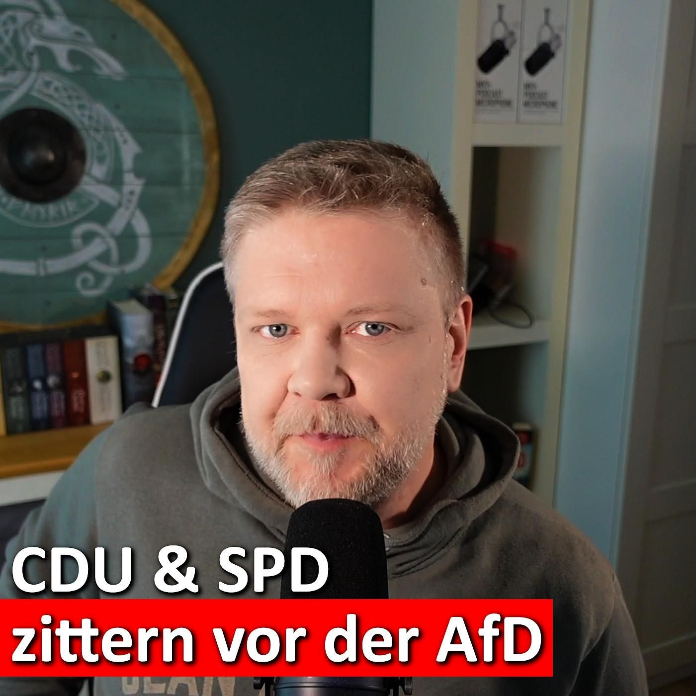 #161: Kettensägen, Angst & Futtertröge – Das wahre Gesicht von CDU & SPD