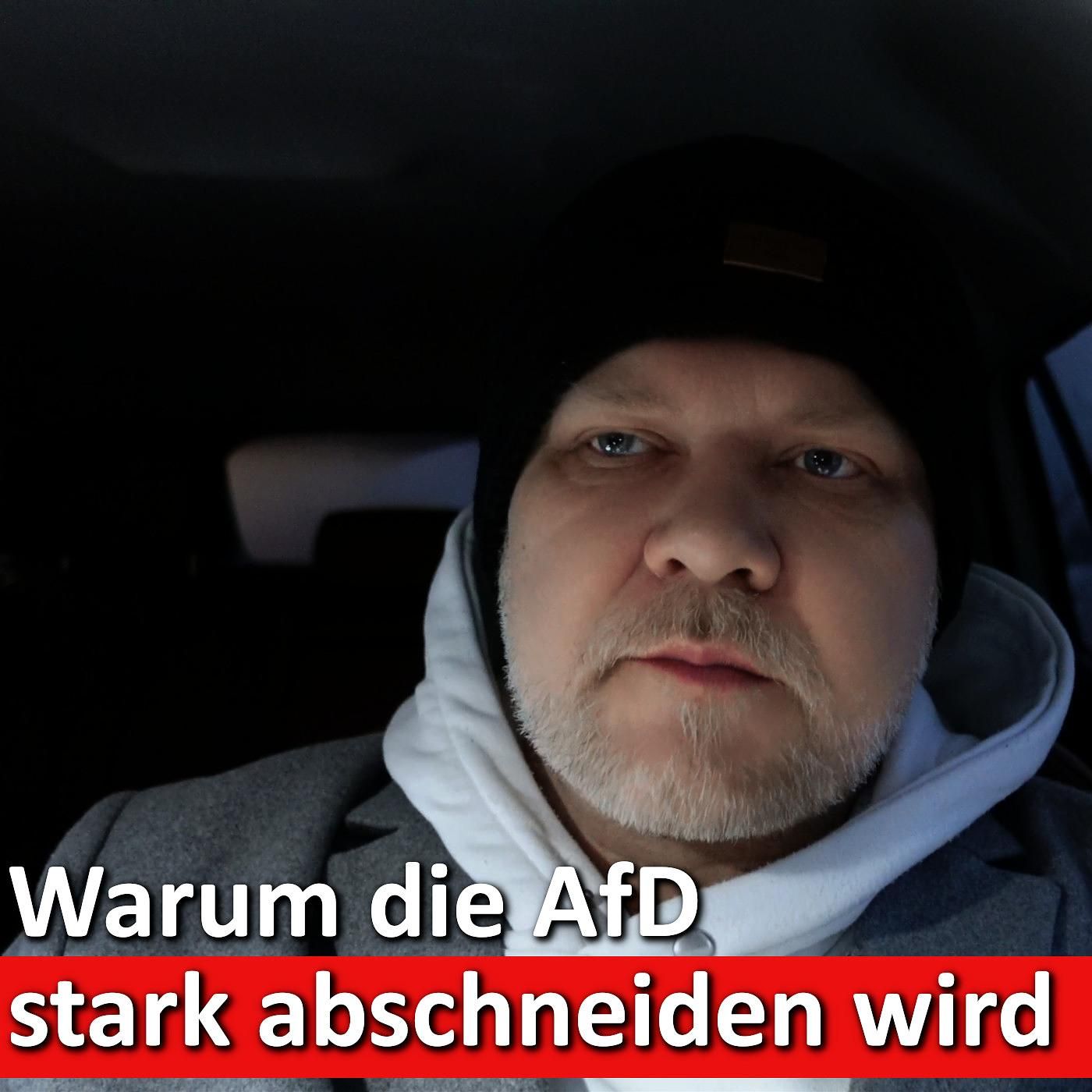 #15: Überraschung am Wahltag? 4 Gründe für den kommenden AfD-Erfolg