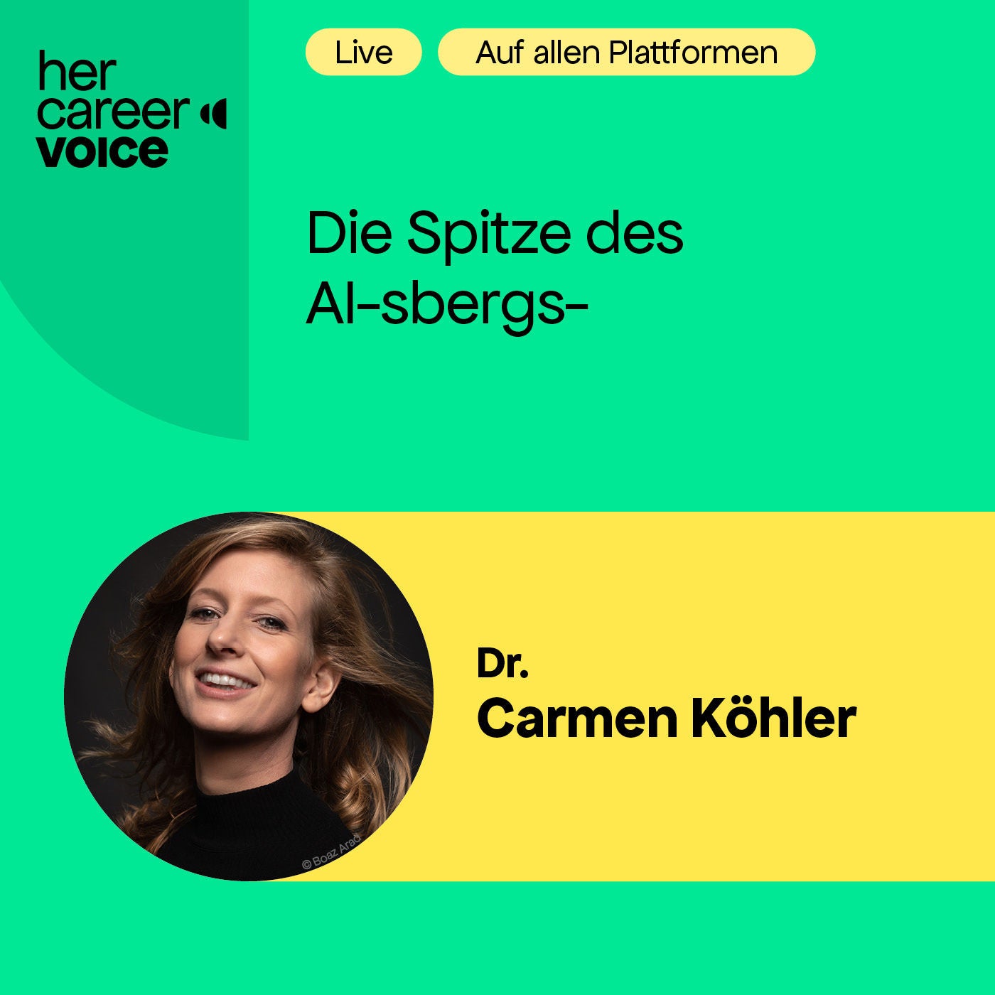 Die Spitze des AI-sbergs