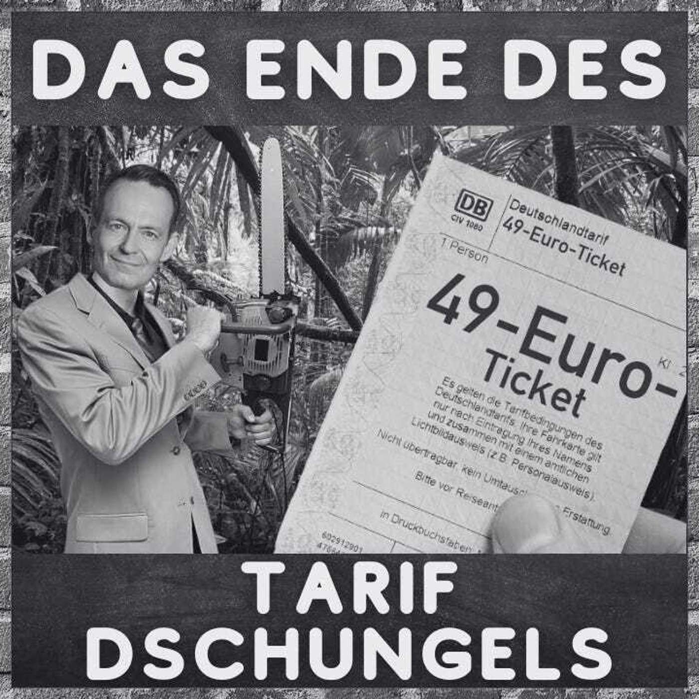 Deutschlandticket - Gamechanger oder nicht?