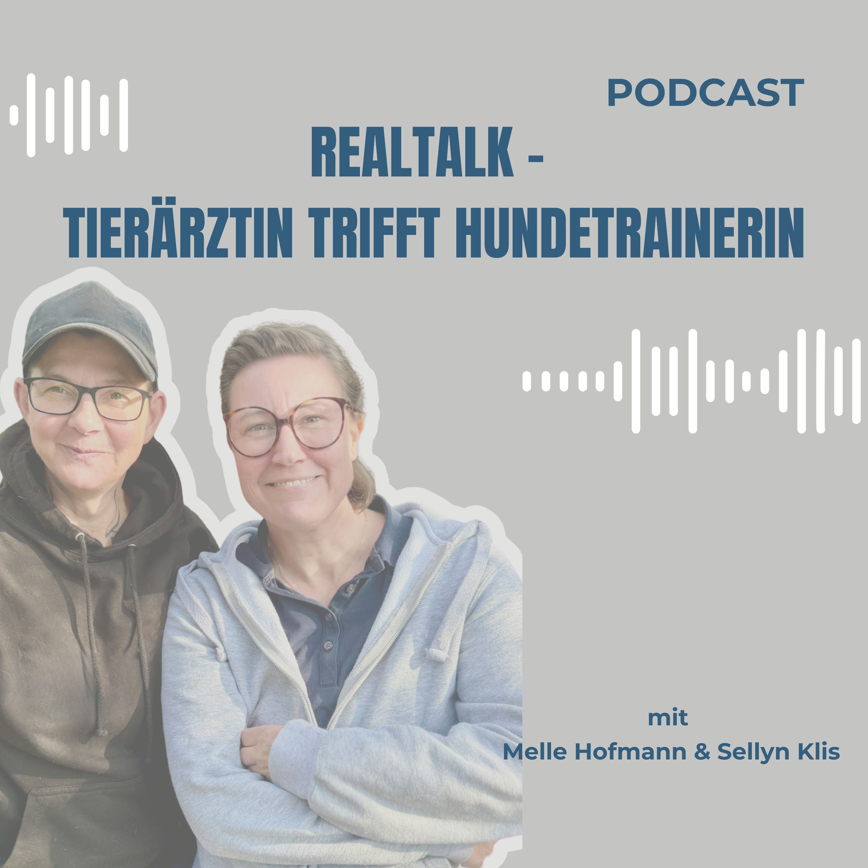 #3 Das Alter und die Termiten