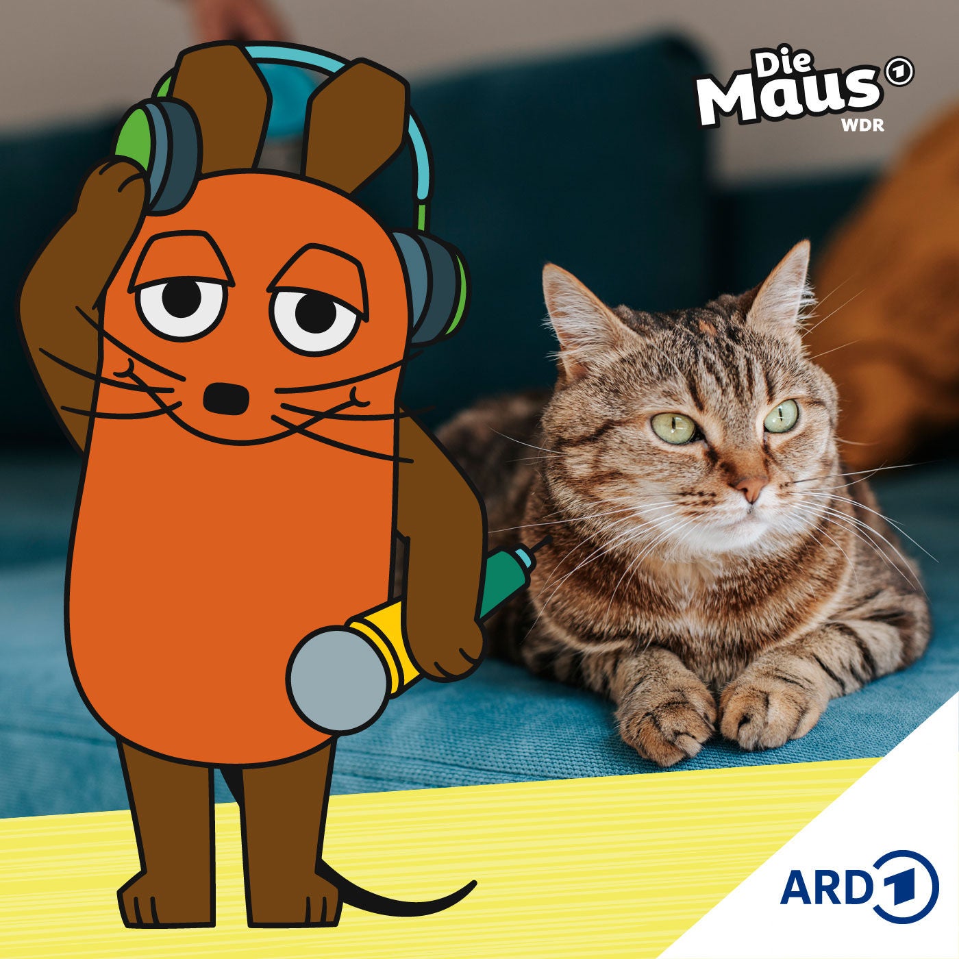 Jede Katze schnurrt anders