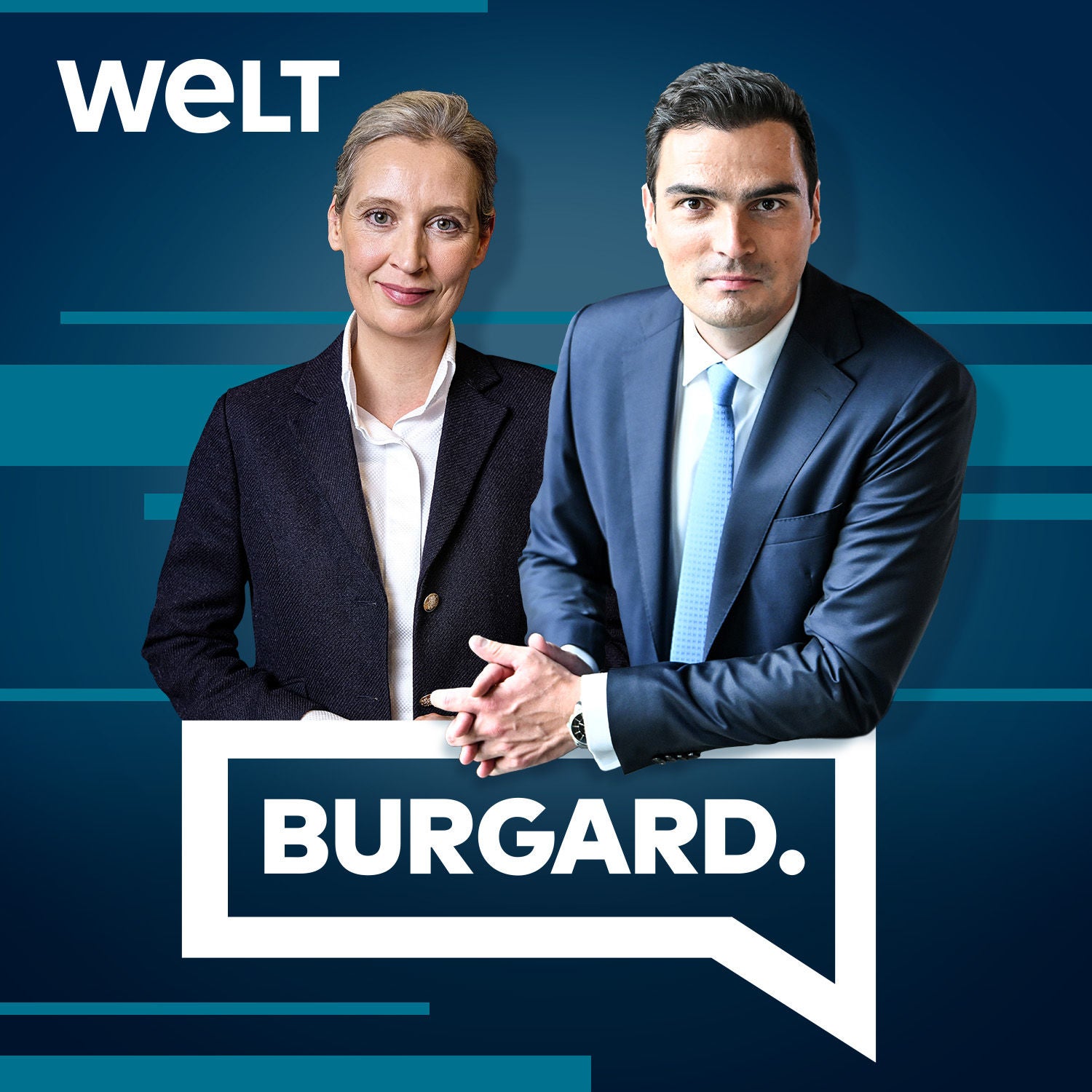 Alice Weidel – "Unser Land wird durch eine extremistische Politik gegen die Wand gefahren"