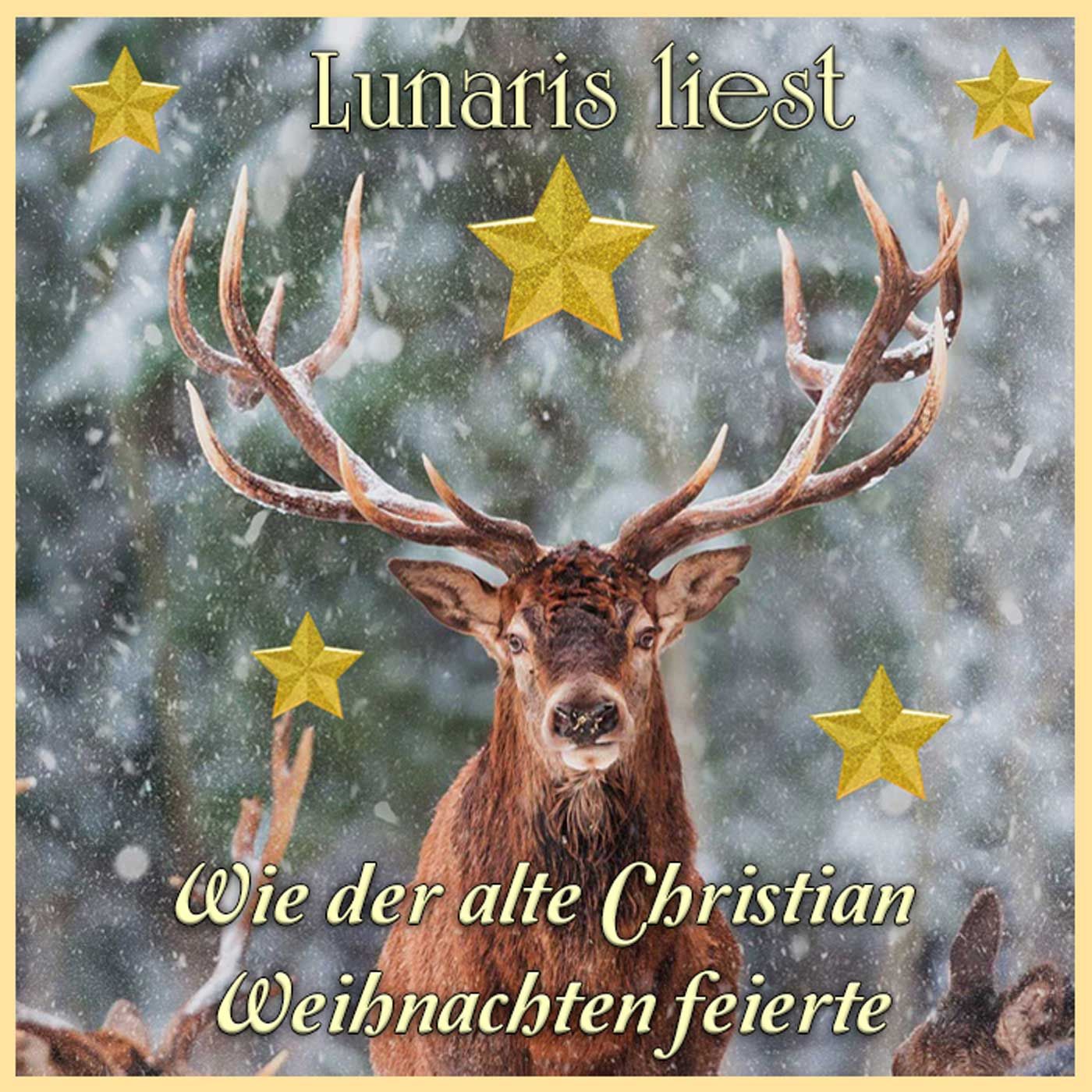 Wie der alte Christian Weihnachten feierte - Weihnachtsspecial | Lunaris liest