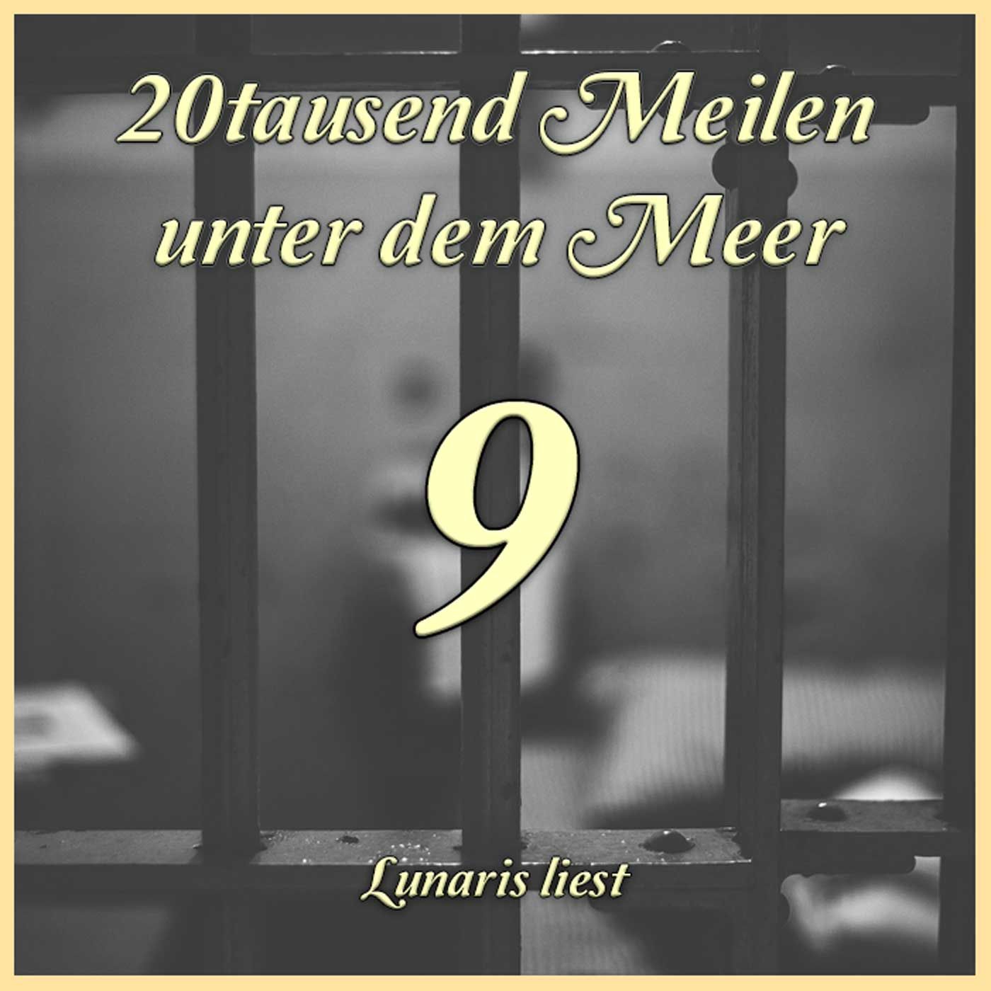 K09 Ned Lands Zorn - 20tausend Meilen unter dem Meer | Lunaris liest