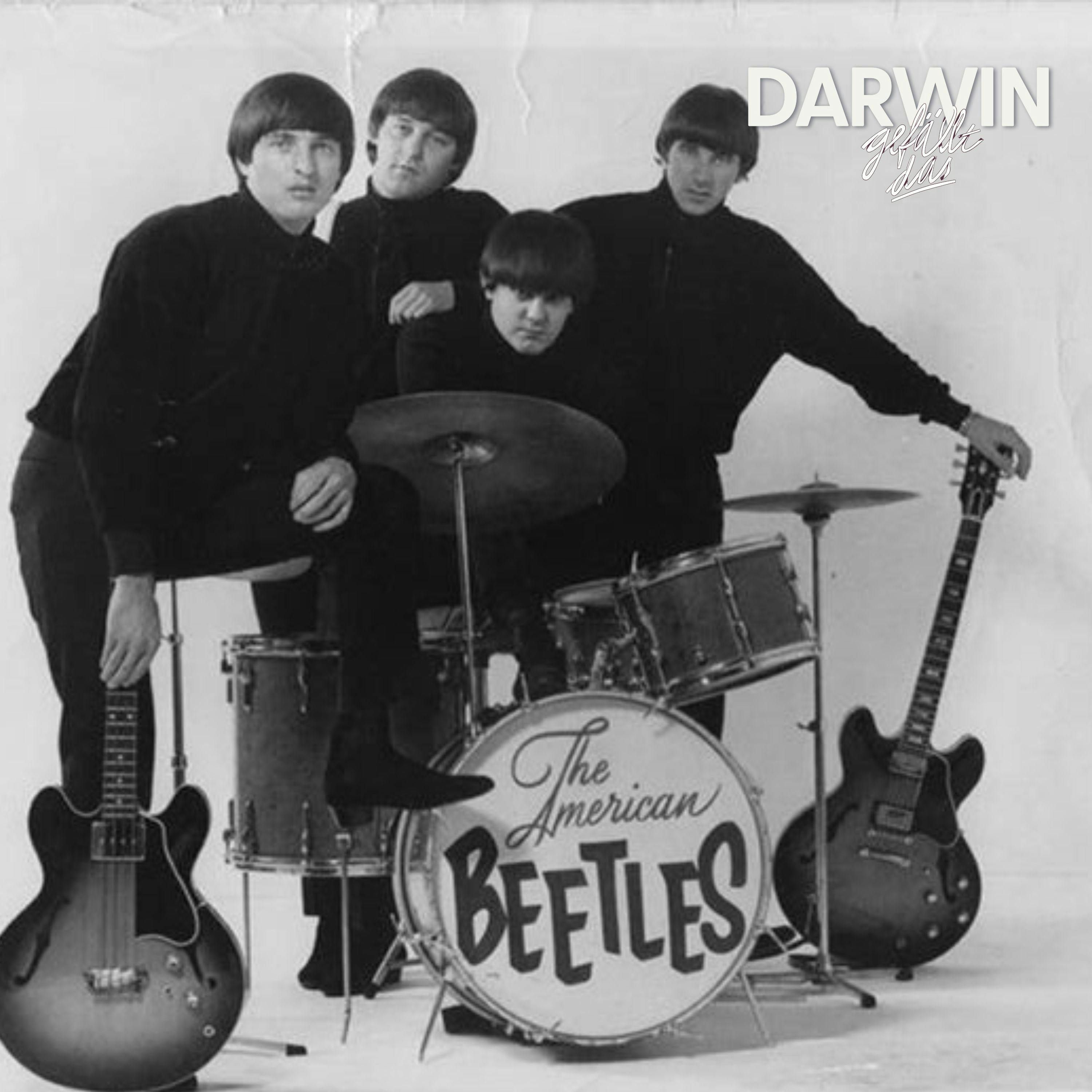 Die falschen Beatles | Steady-Schätze