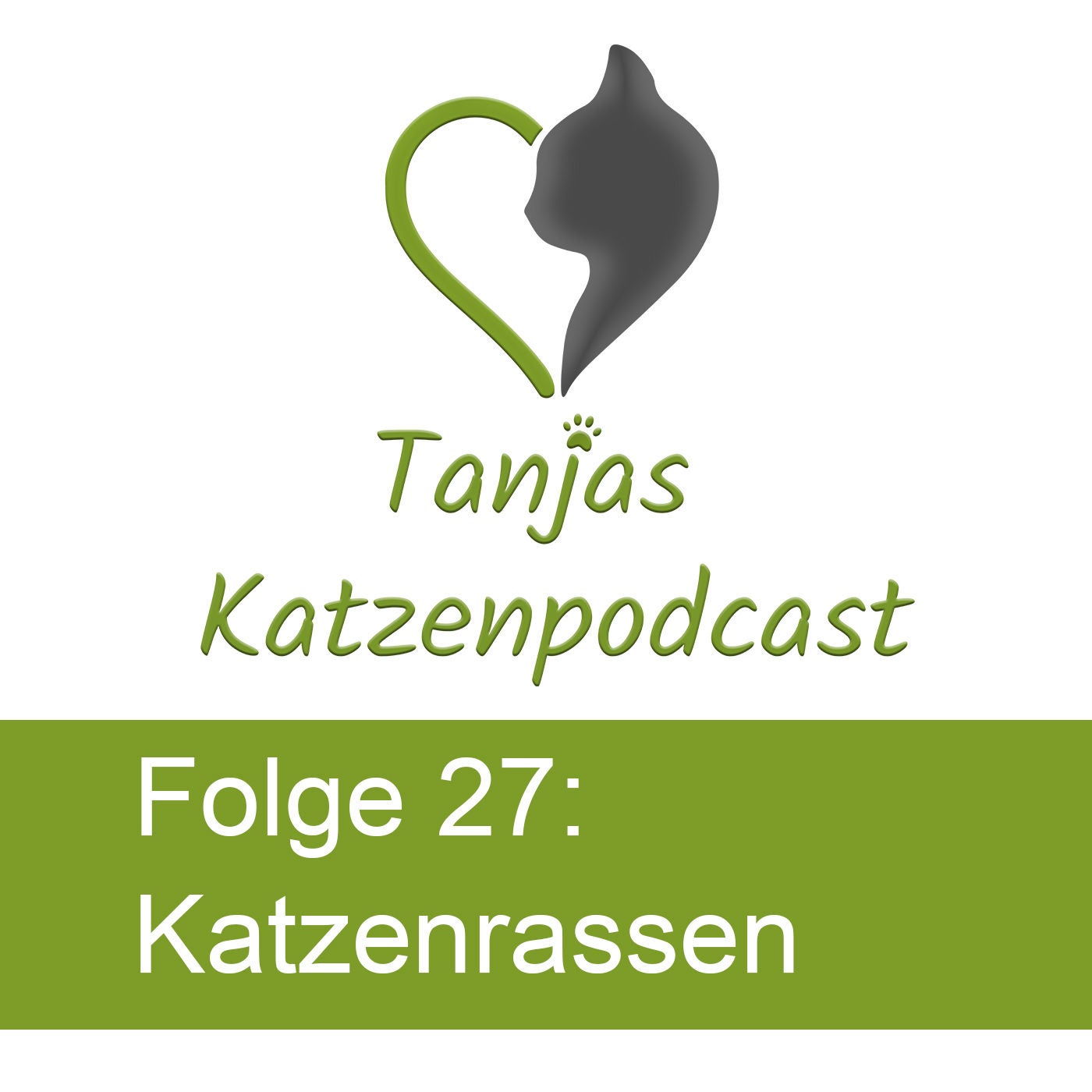 Katzenrassen und ihre Eigenschaften – Nicht jede Rasse ist für jeden Menschen geeignet