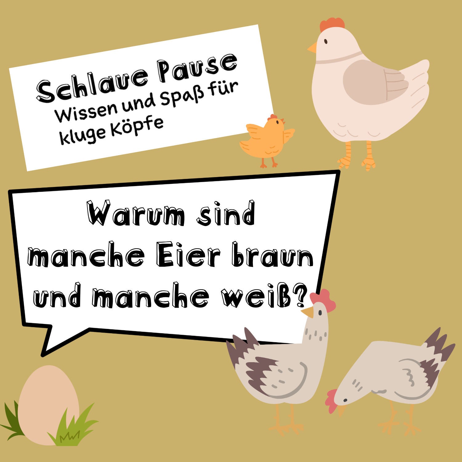 Warum gibt es weiße und braune Eier?