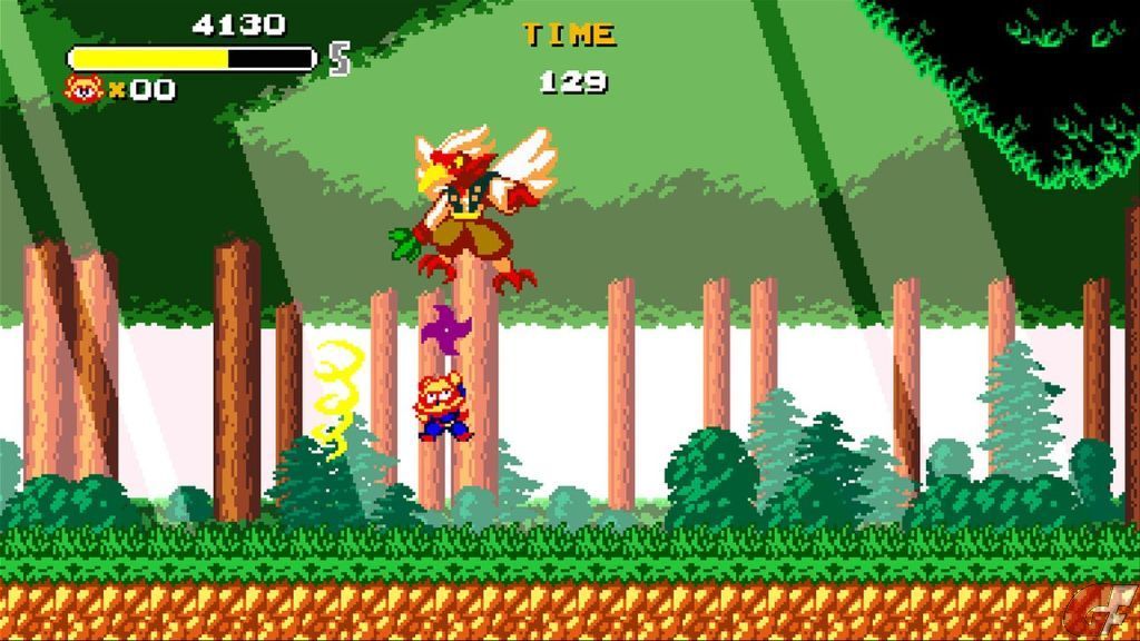 Tanuki Justice Test