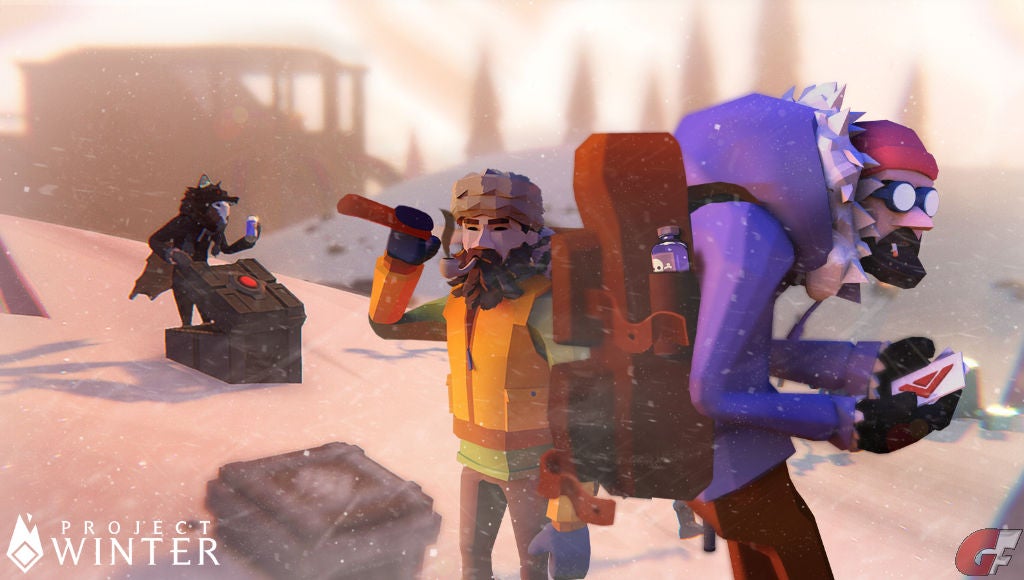 Project Winter Test