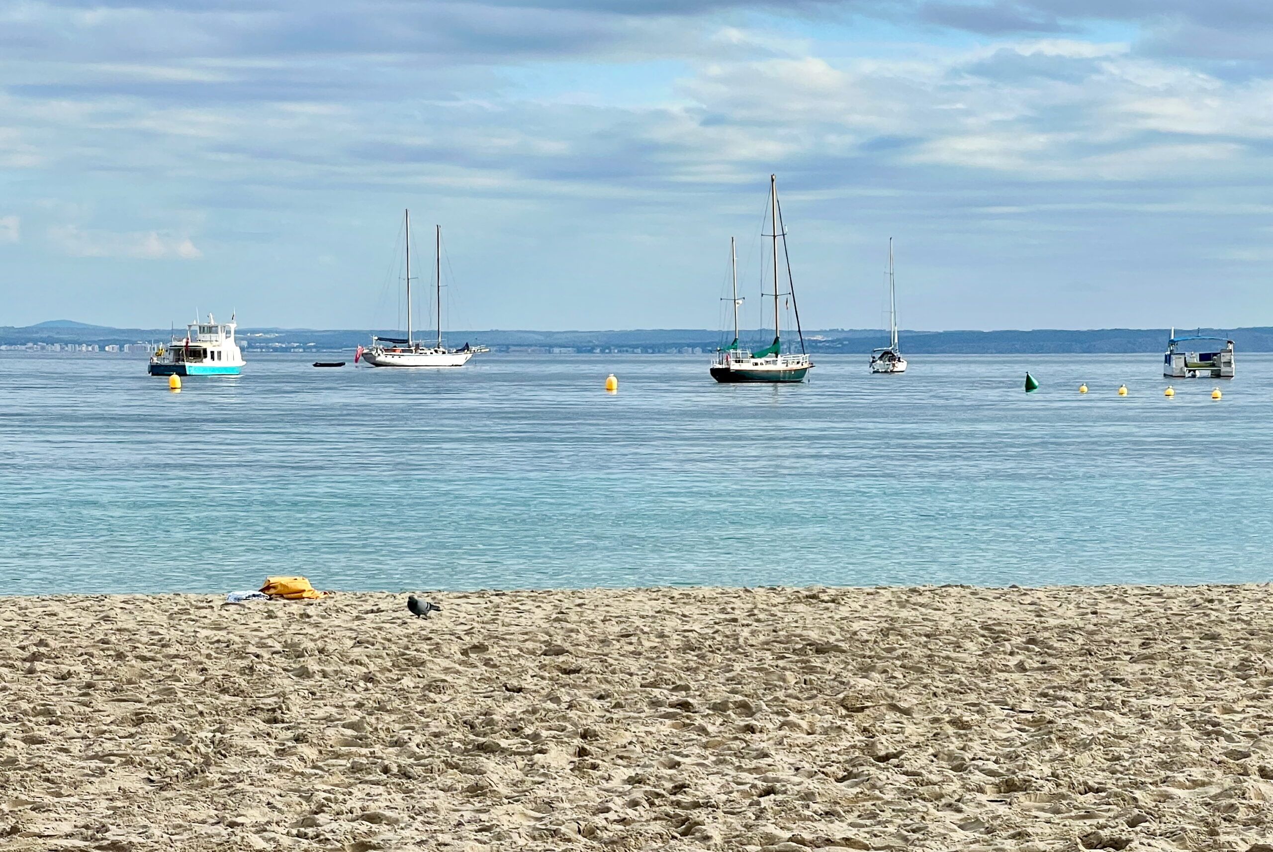 5 Minuten Mallorca | Nachrichten am 2. Januar 2026