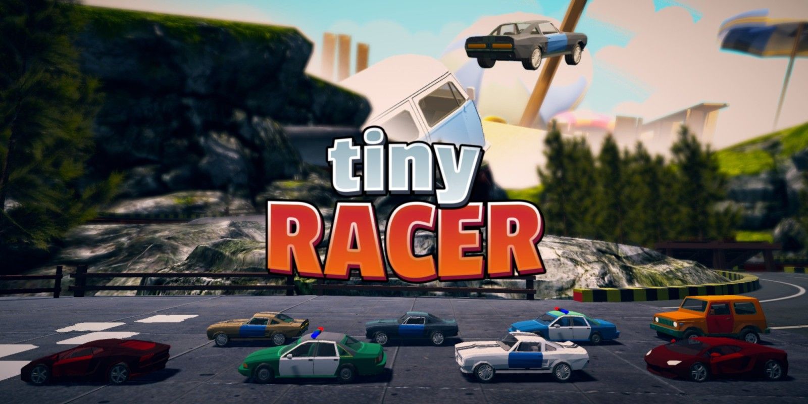 Tiny Racer Switch Test
