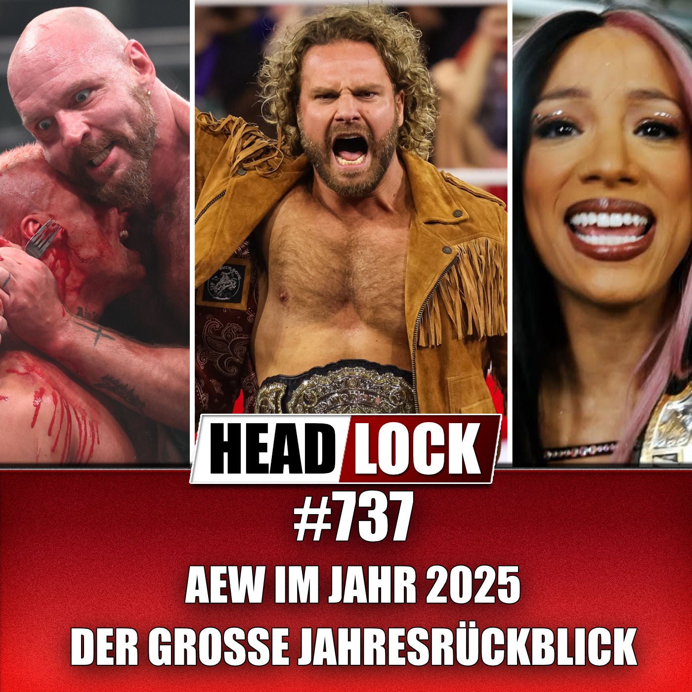 All Elite Wrestling im Jahr 2025 - Der große Jahresrückblick zum WWE-Konkurrenten!