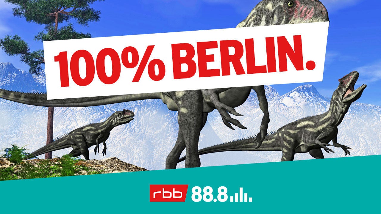 Gab es früher Dinos in Berlin?
