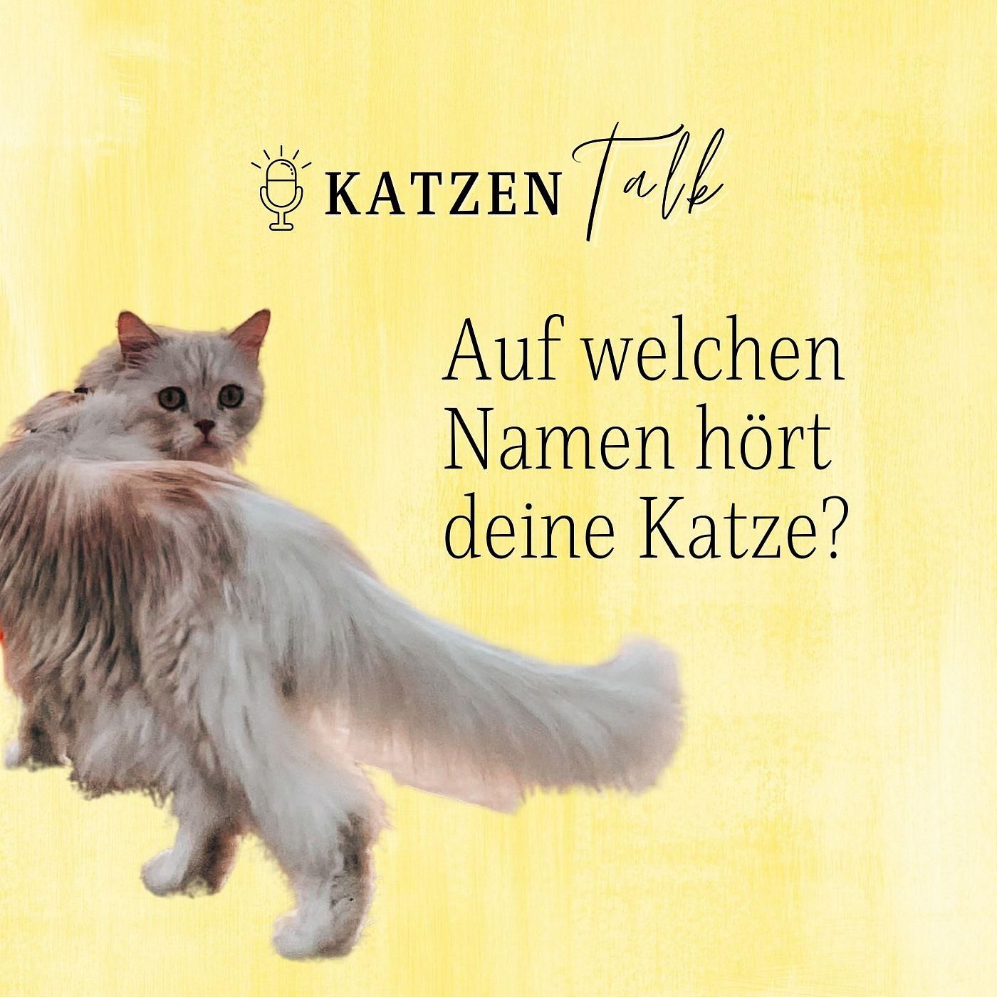 Auf welchen Namen hört deine Katze?
