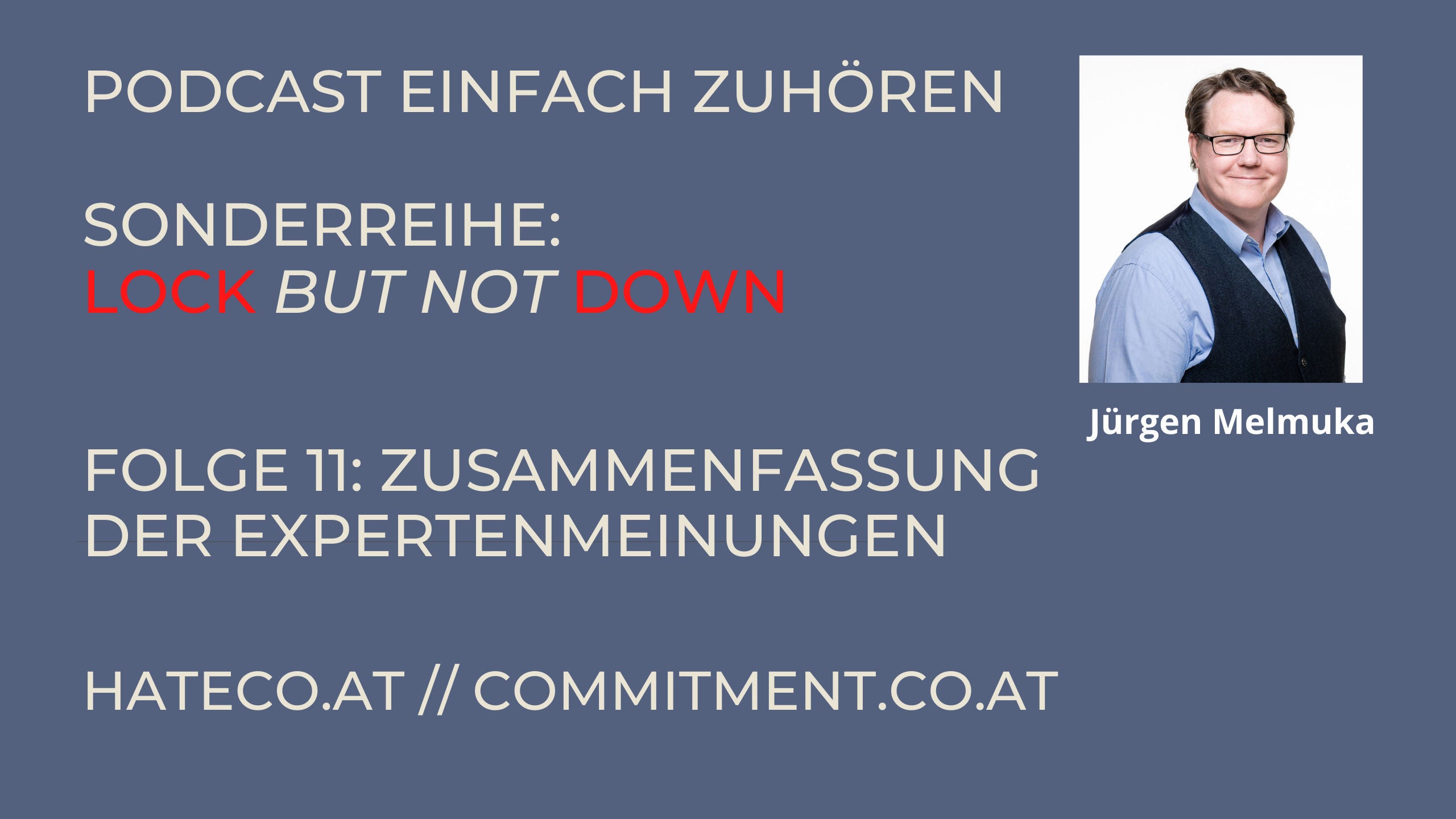 Einfach Zuhören - Sonderreihe Lockbutnotdown - Kapitel 12- Was sagen weitere Experten?