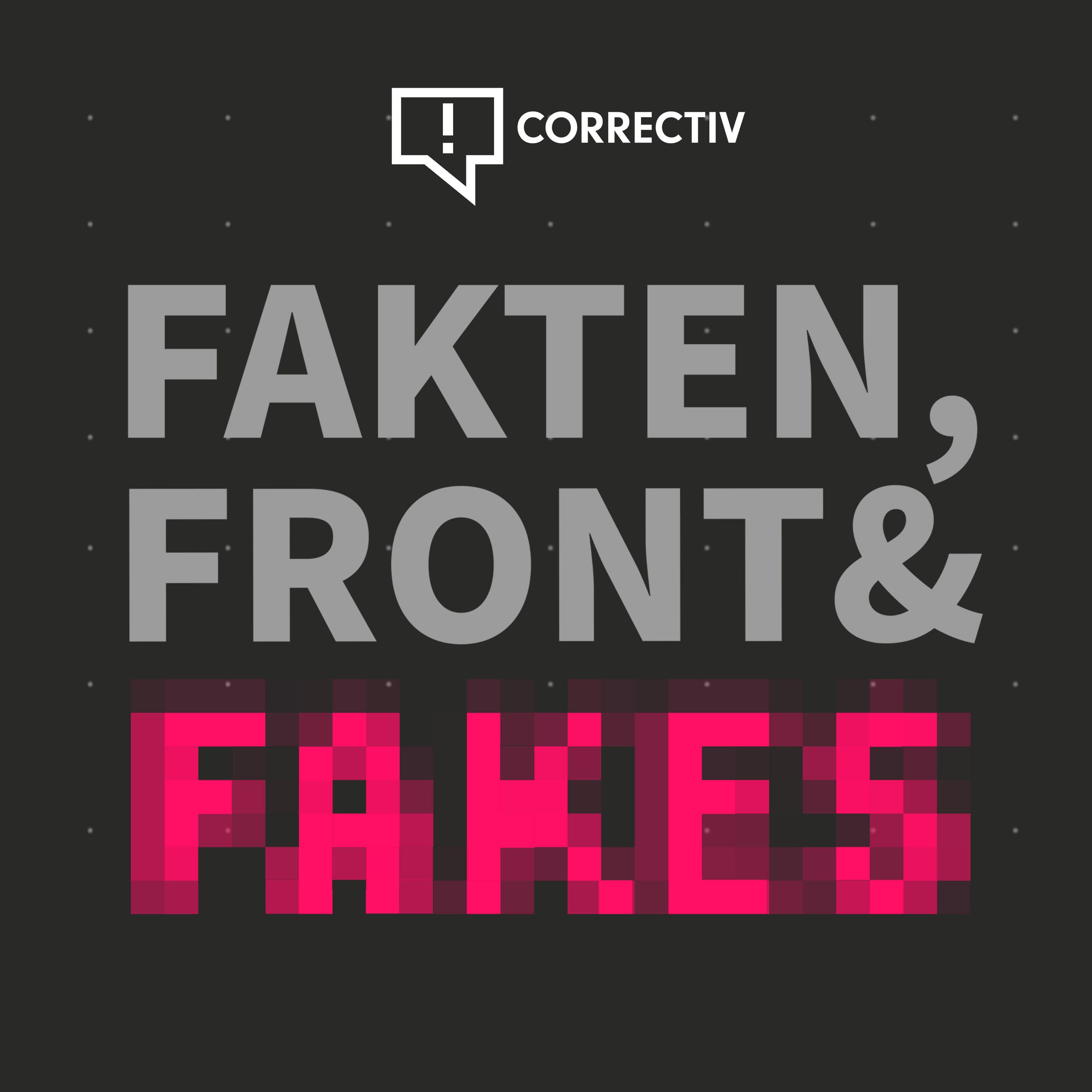 Von Propaganda bis Fake-Accounts: Wie ein Podcast Desinformation entlarvt - Gespräch mit Gabriele Scherndl von Correctiv #43