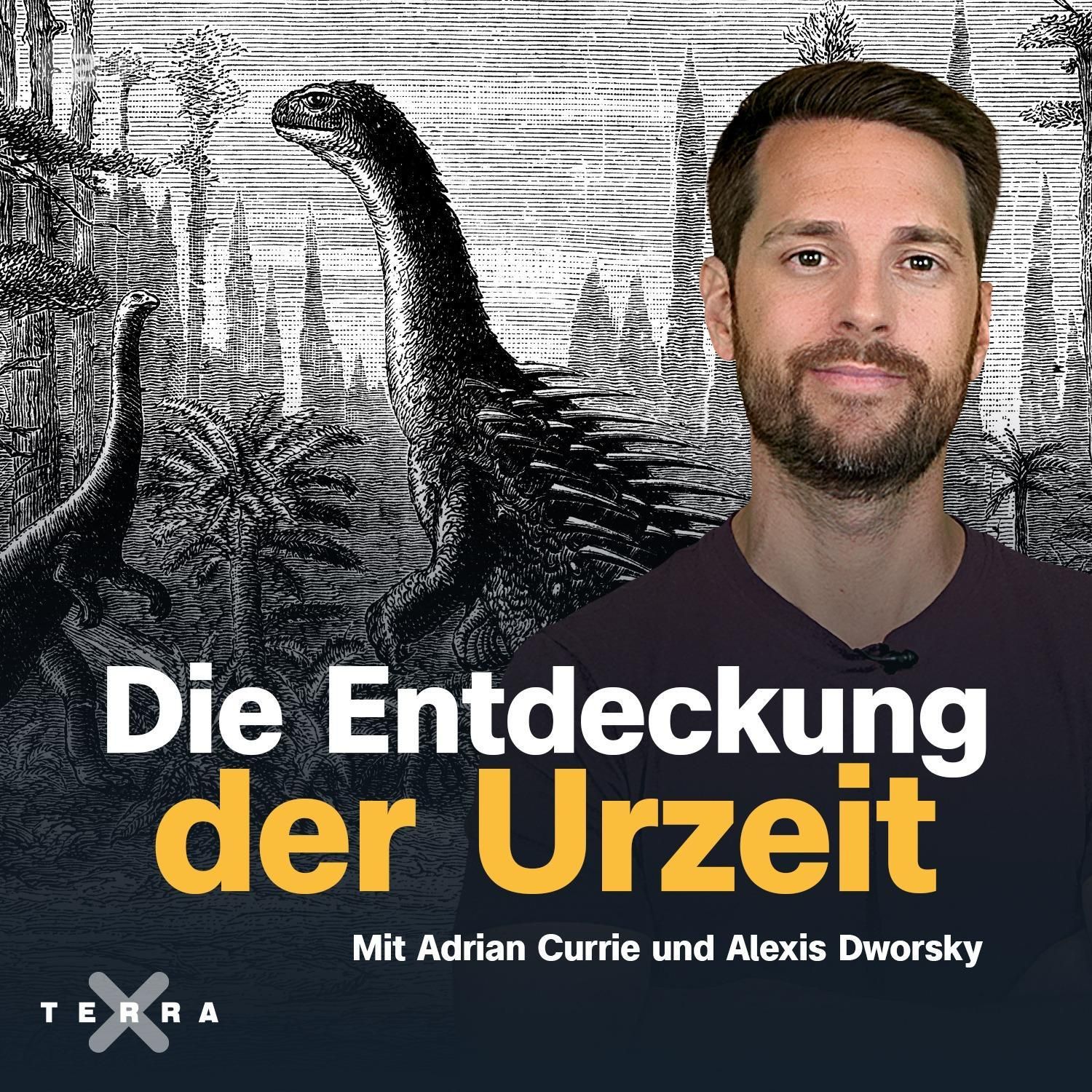 Die Entdeckung der Urzeit - Geschichte der Paläontologie
