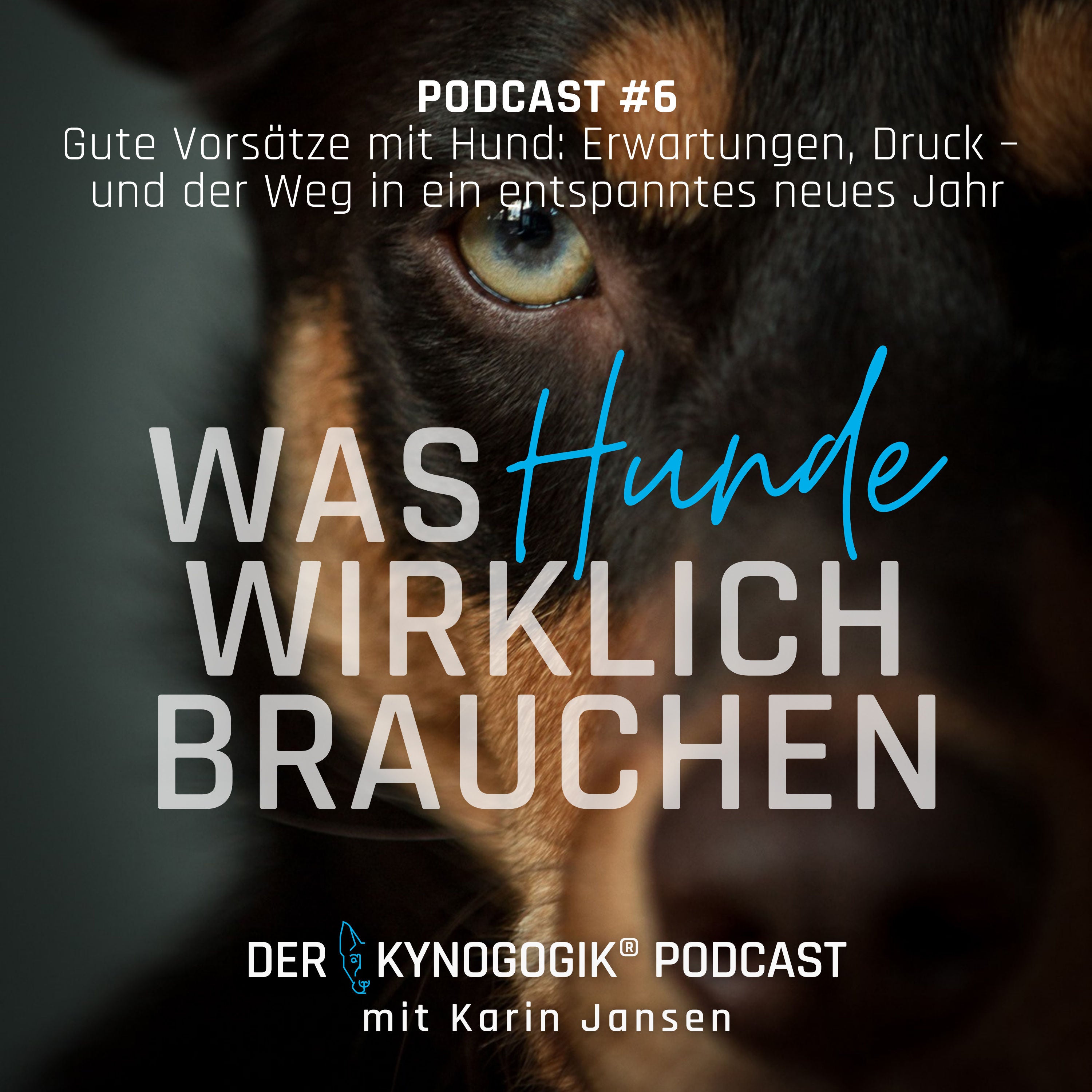 Gute Vorsätze mit Hund