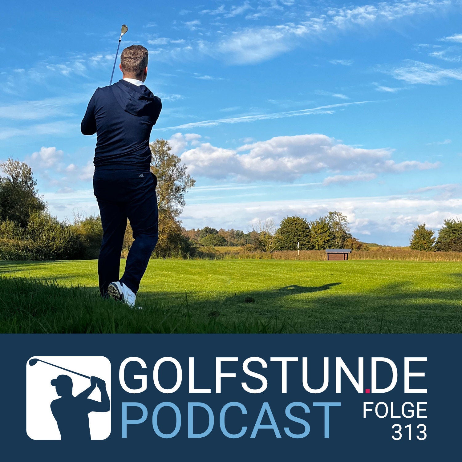 #313 Wedge-Finish
