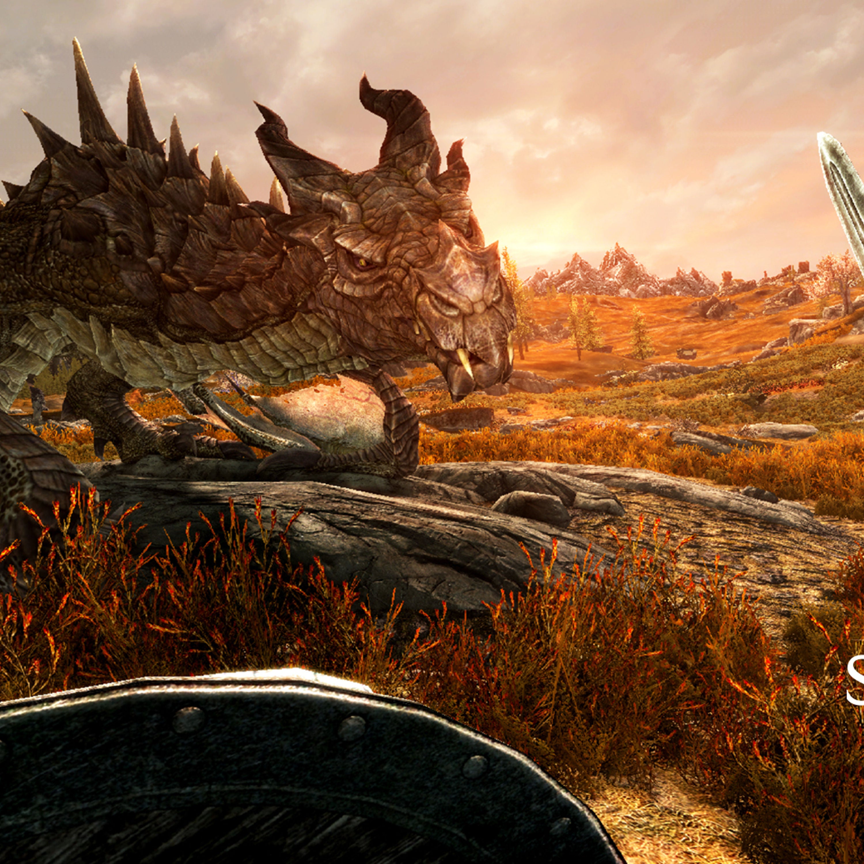 IM2171: Skyrim VR