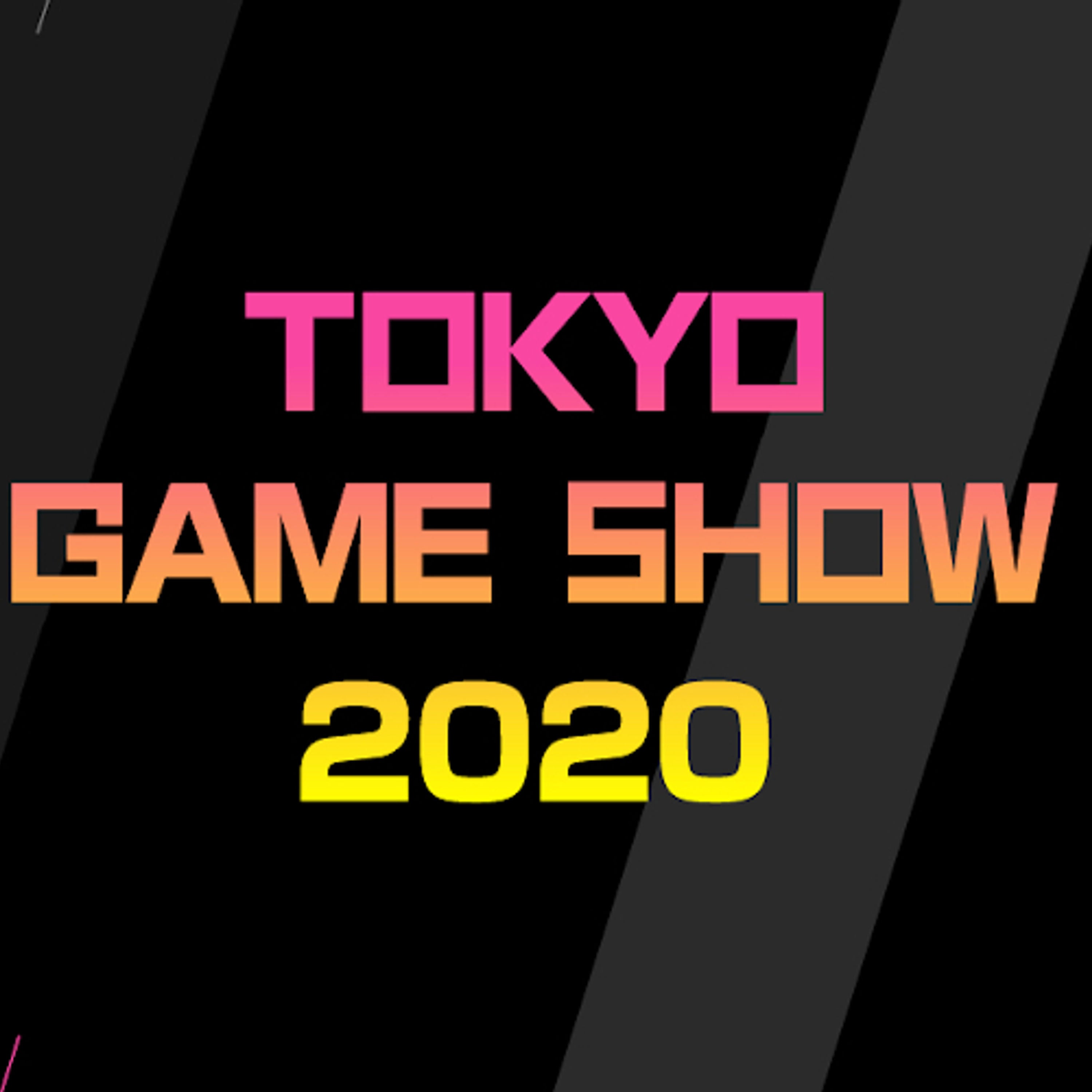 Tokyo Game Show 2020 - Zwei Japan-Fans im digitalen Bällebad