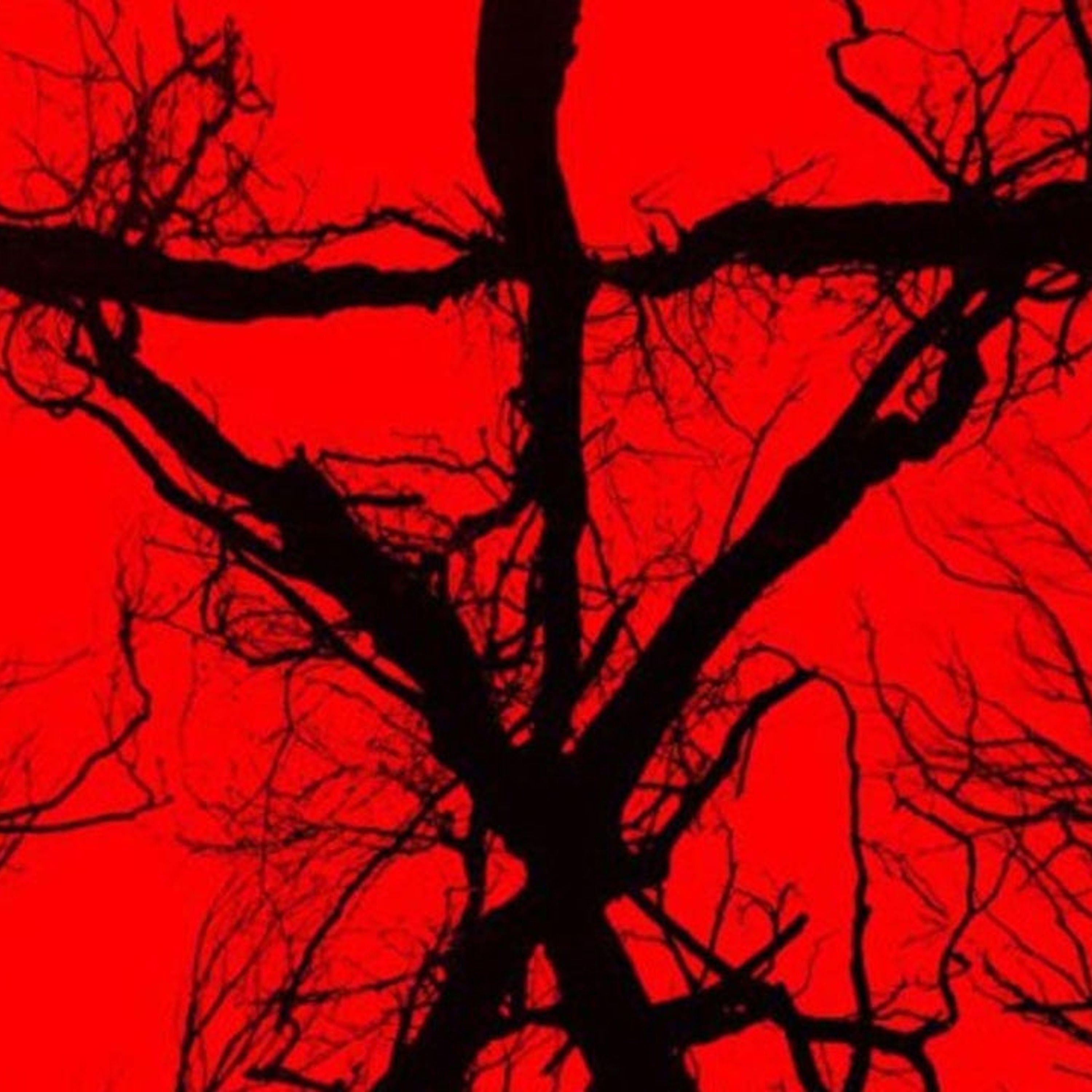 Blair Witch: Waldwanderung mit dem nervigsten Hund der Welt