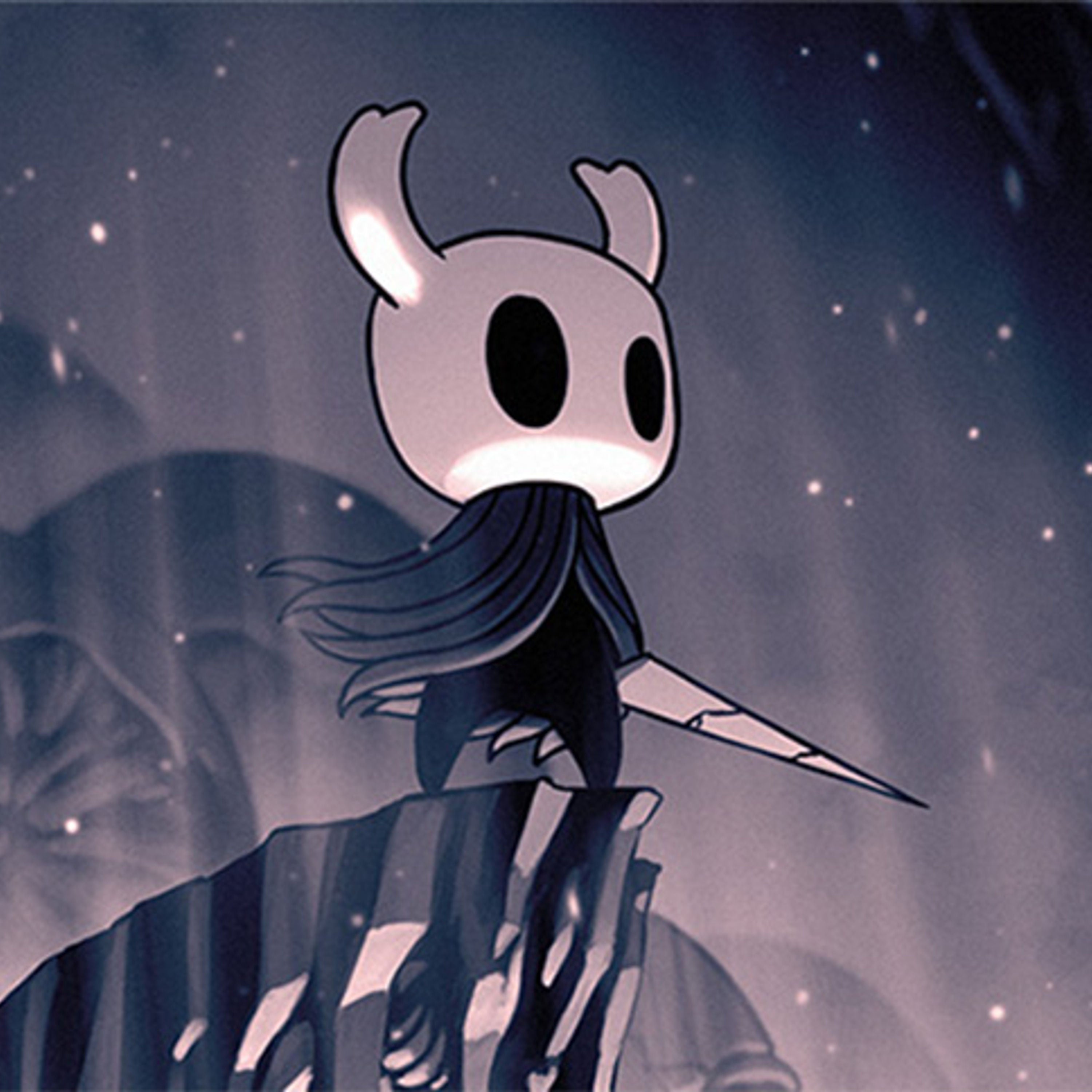 IM2110: Hollow Knight