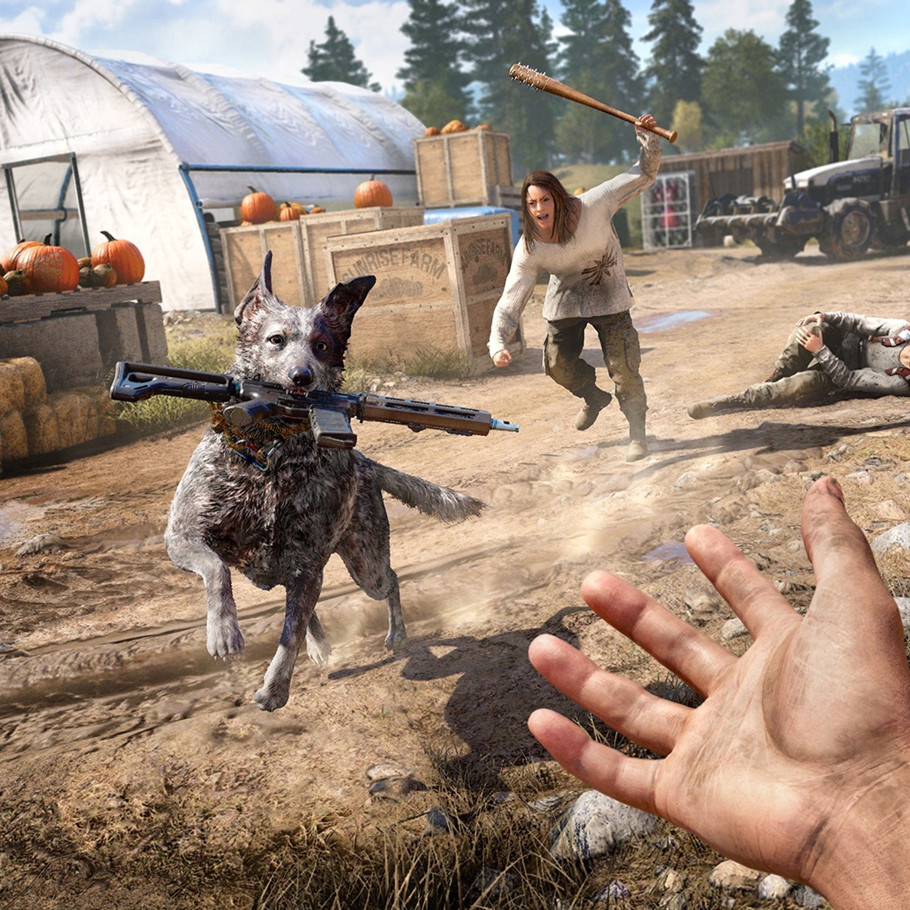 IM2159: Far Cry 5