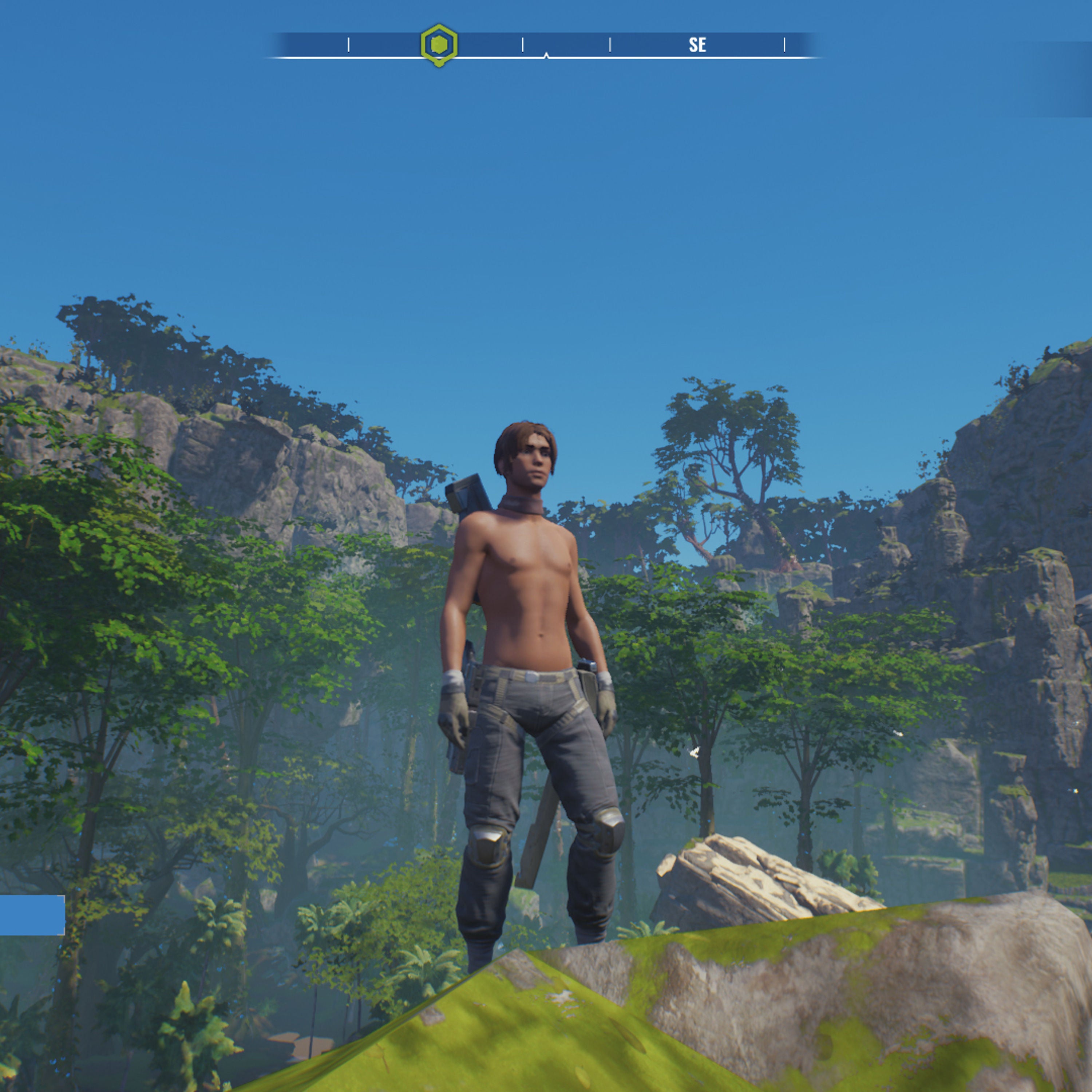 Random Encounters: Wild Life - Ein Open-World-Sexspiel aus Deutschland