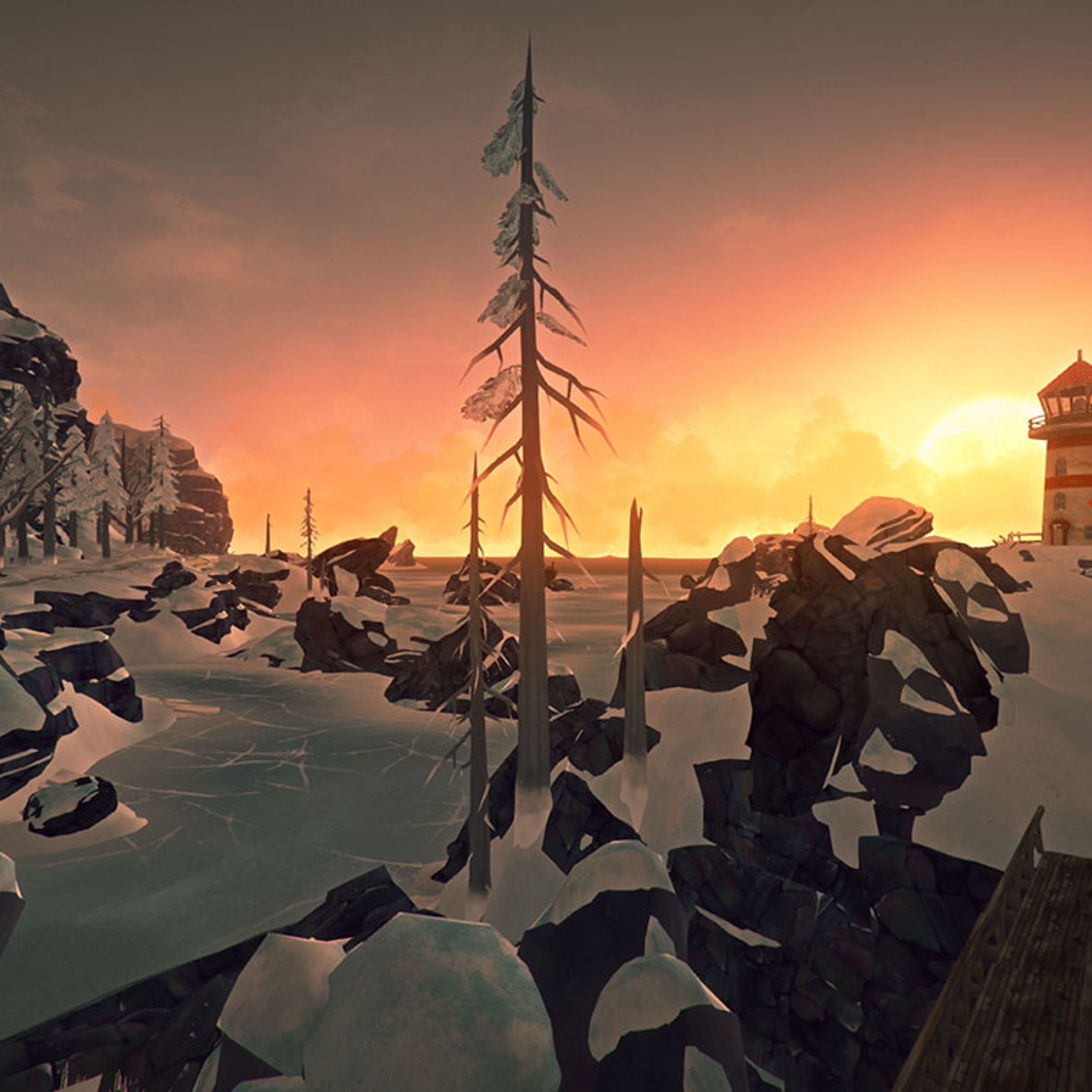 IM2010: The Long Dark