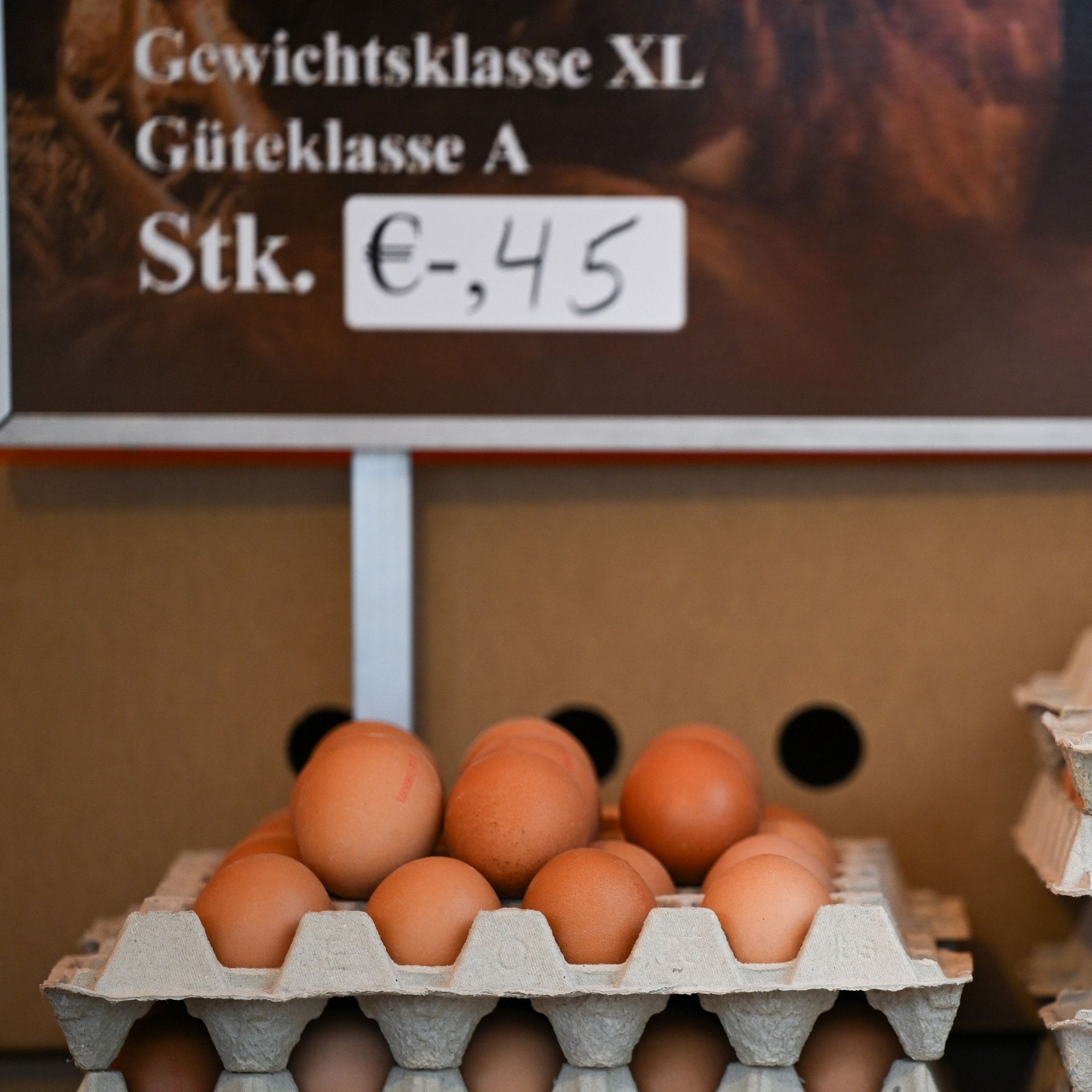 Wovon hängt die Größe von Hühnereiern ab?