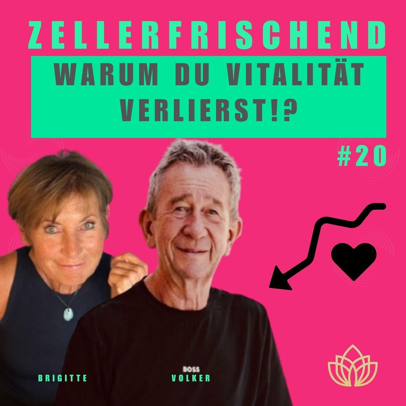 Zellerfrischend - Warum du Vitalität verlierst!? #20