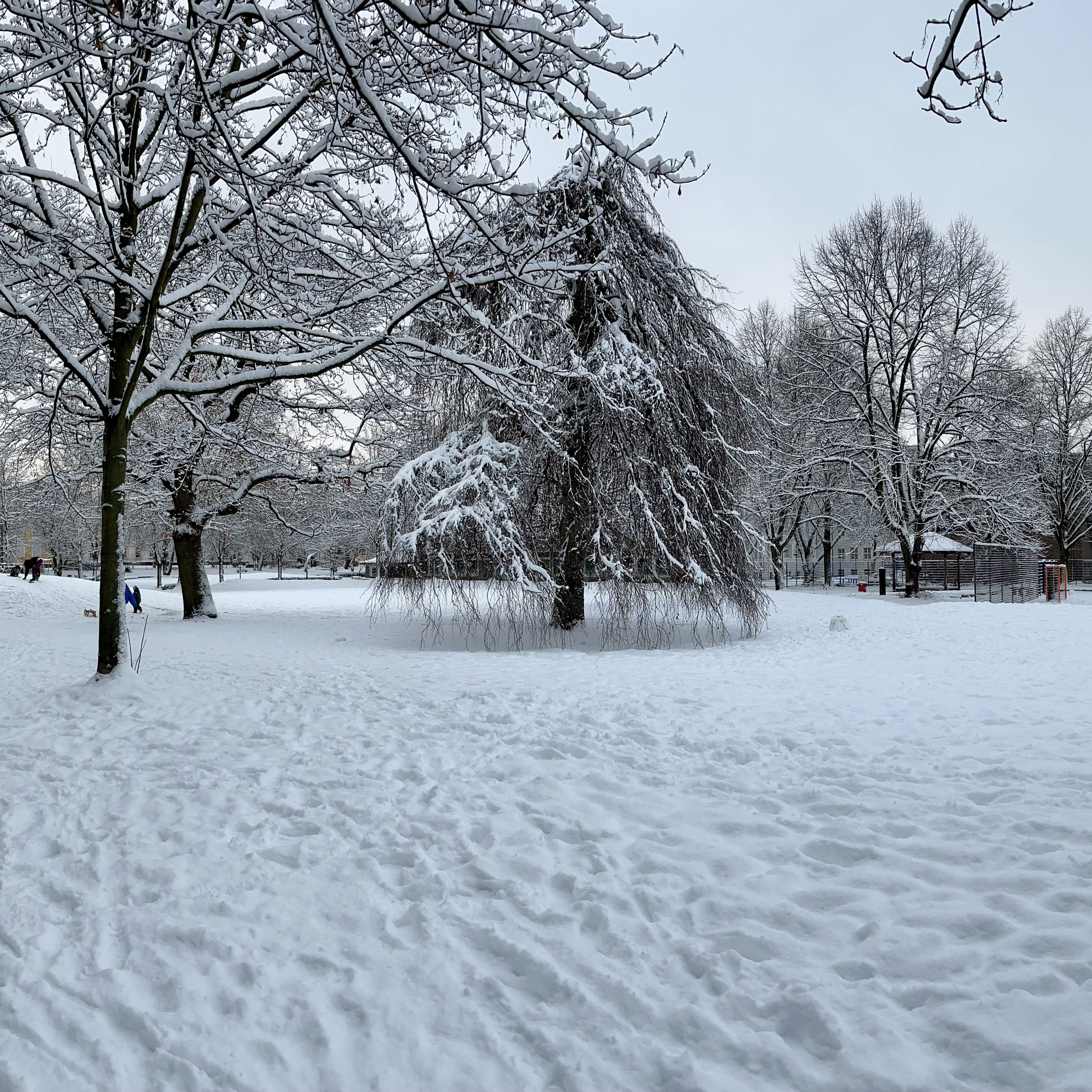 #55 Genug Licht für diesen Winter