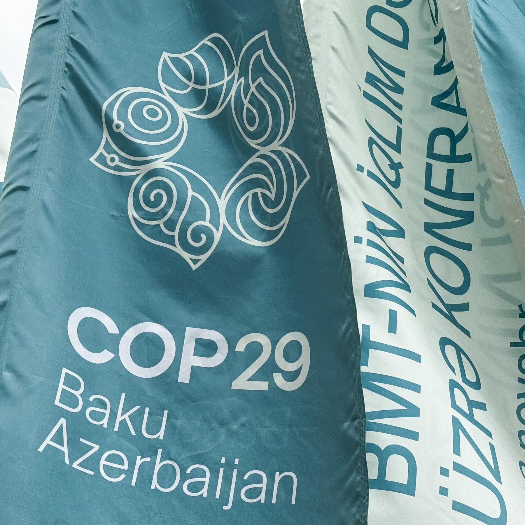 Beschleunigte Erderwärmung: 1,5-Grad-Ziel gerissen - Warum Aufgeben trotzdem keine Option ist | Weltklimakonferenz COP29