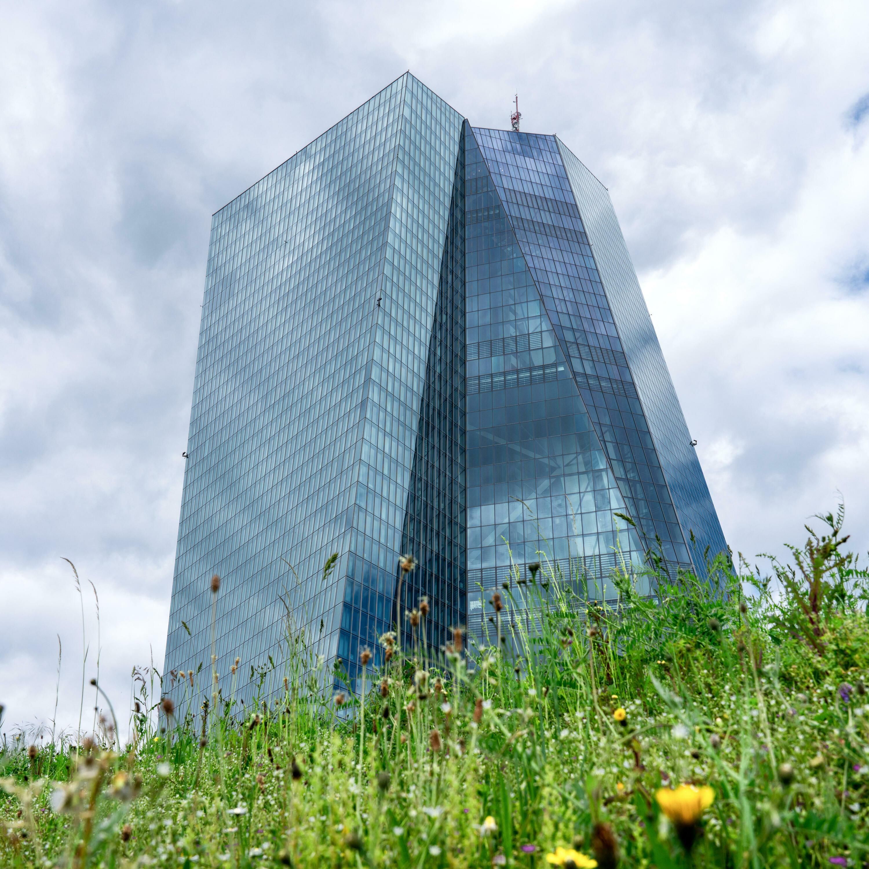 EZB im Kreuzfeuer und Schuld an der Inflation?