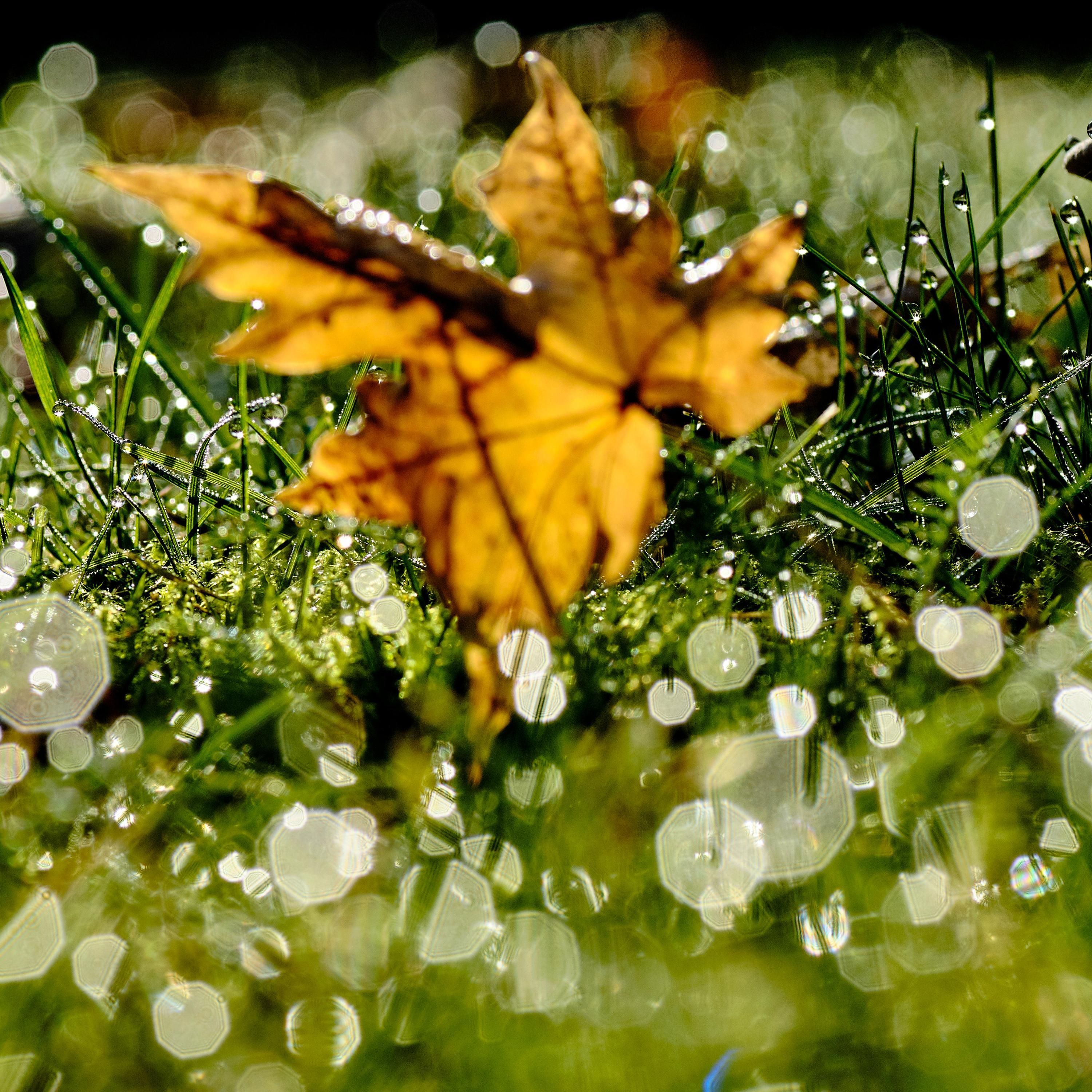 Was kommt nach dem goldenen Oktober?