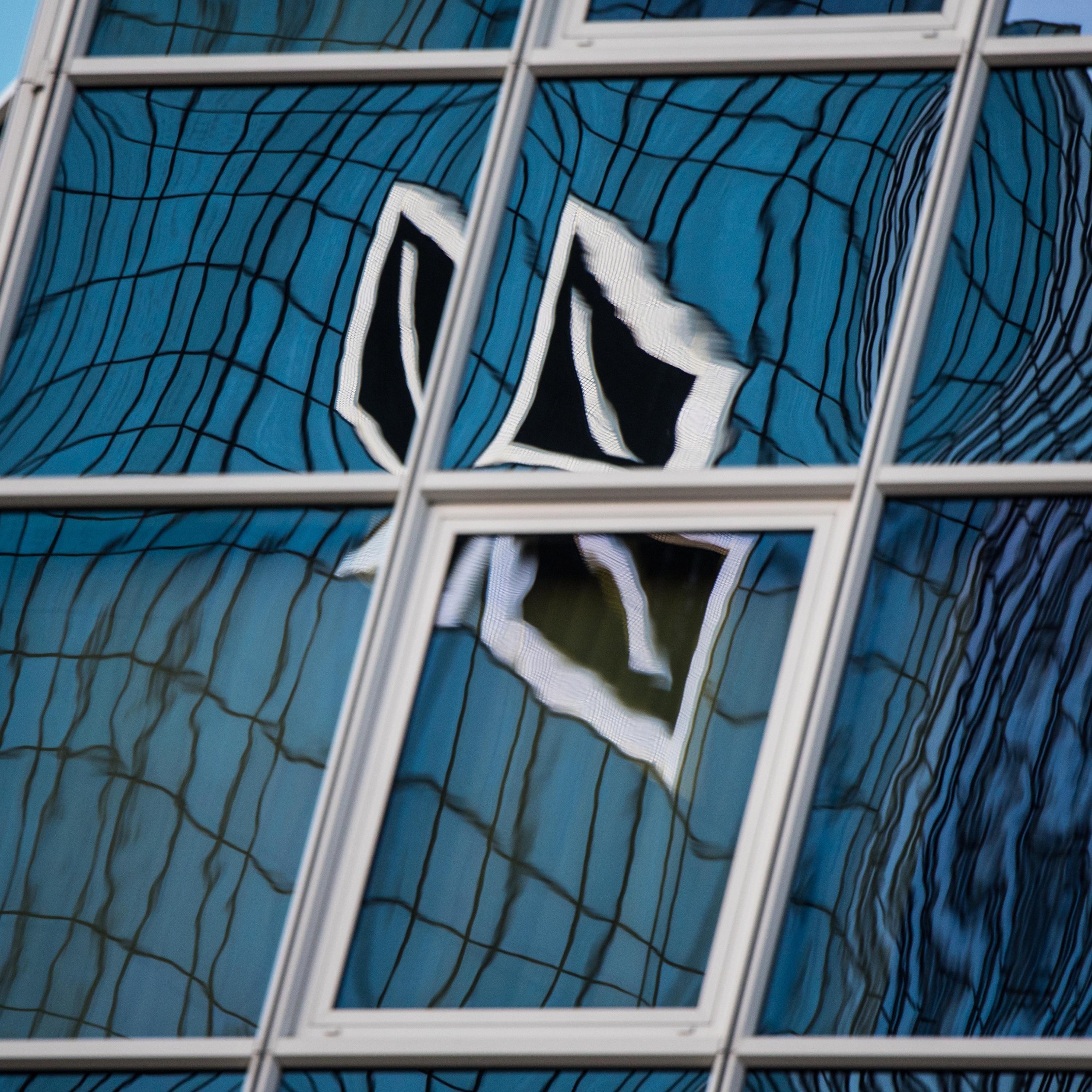 "Die Deutsche Bank macht einen Fehler"