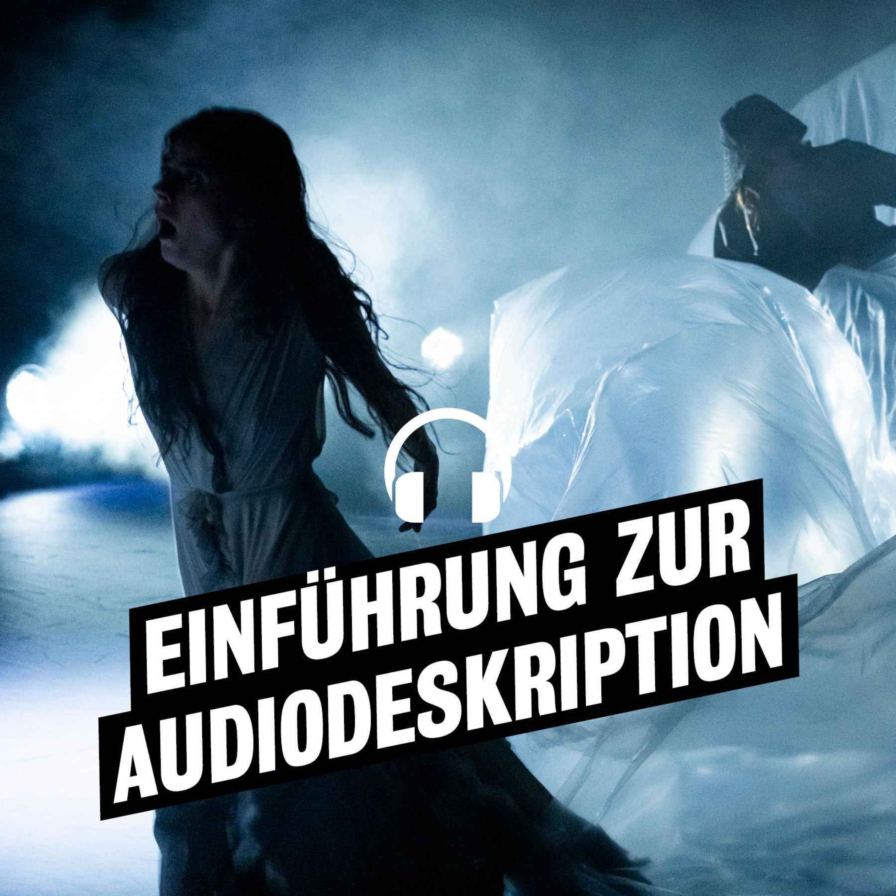 Audiodeskriptive Einführung zu "Was ihr wollt"