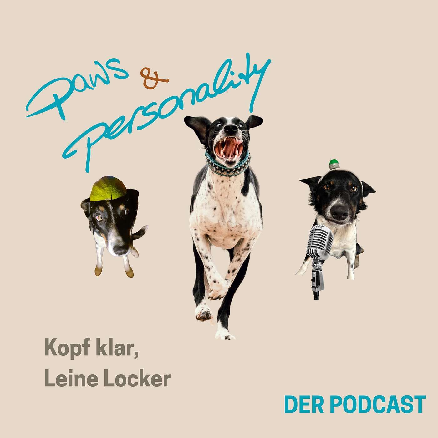Geführte Morgenmeditation für Klarheit und Verbundenheit mit deinem Hund - mit Musik