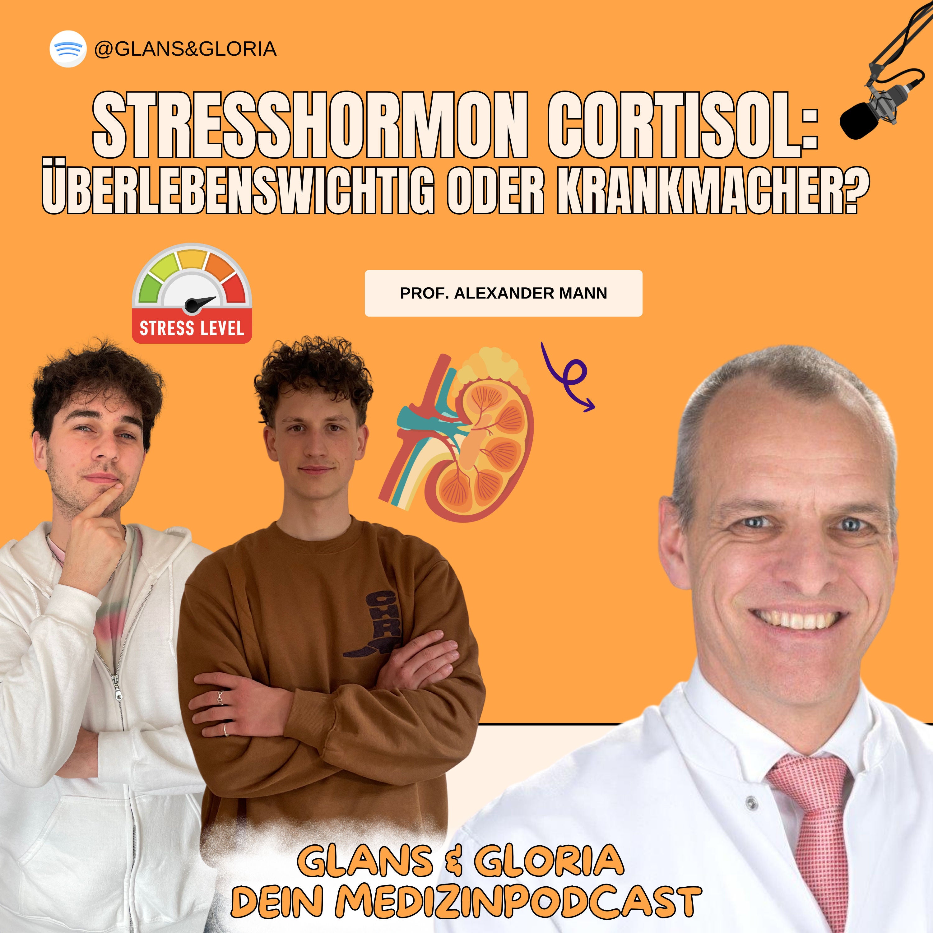 Stresshormon Cortisol: Überlebenswichtig oder Krankmacher? | Prof. Alexander Mann