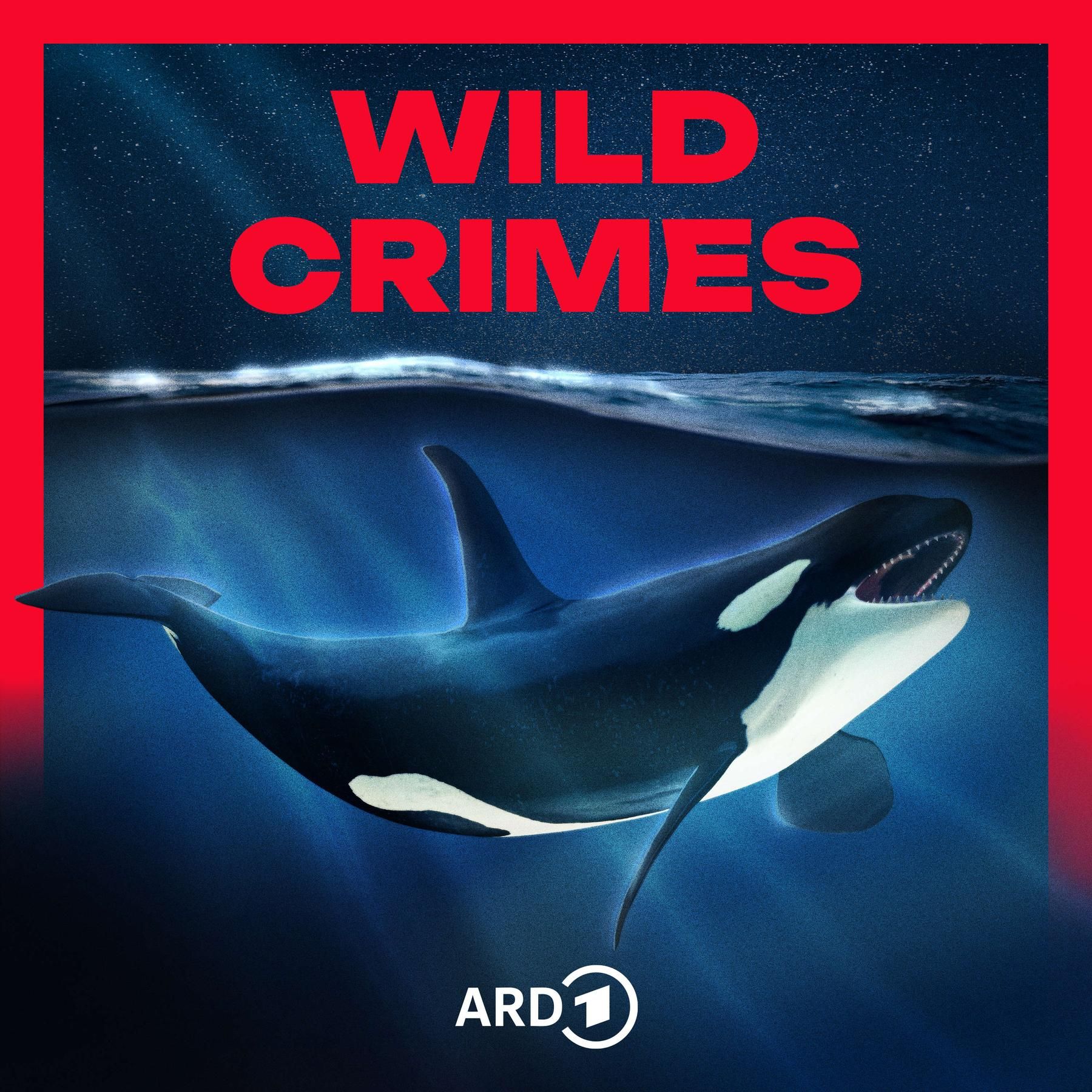 #02 Rache der Orcas: Gladiatorinnen (2/4)
