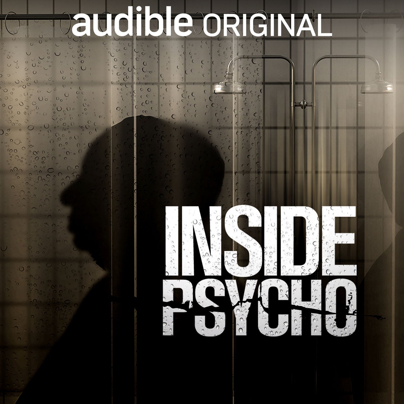 Introducing Inside Psycho